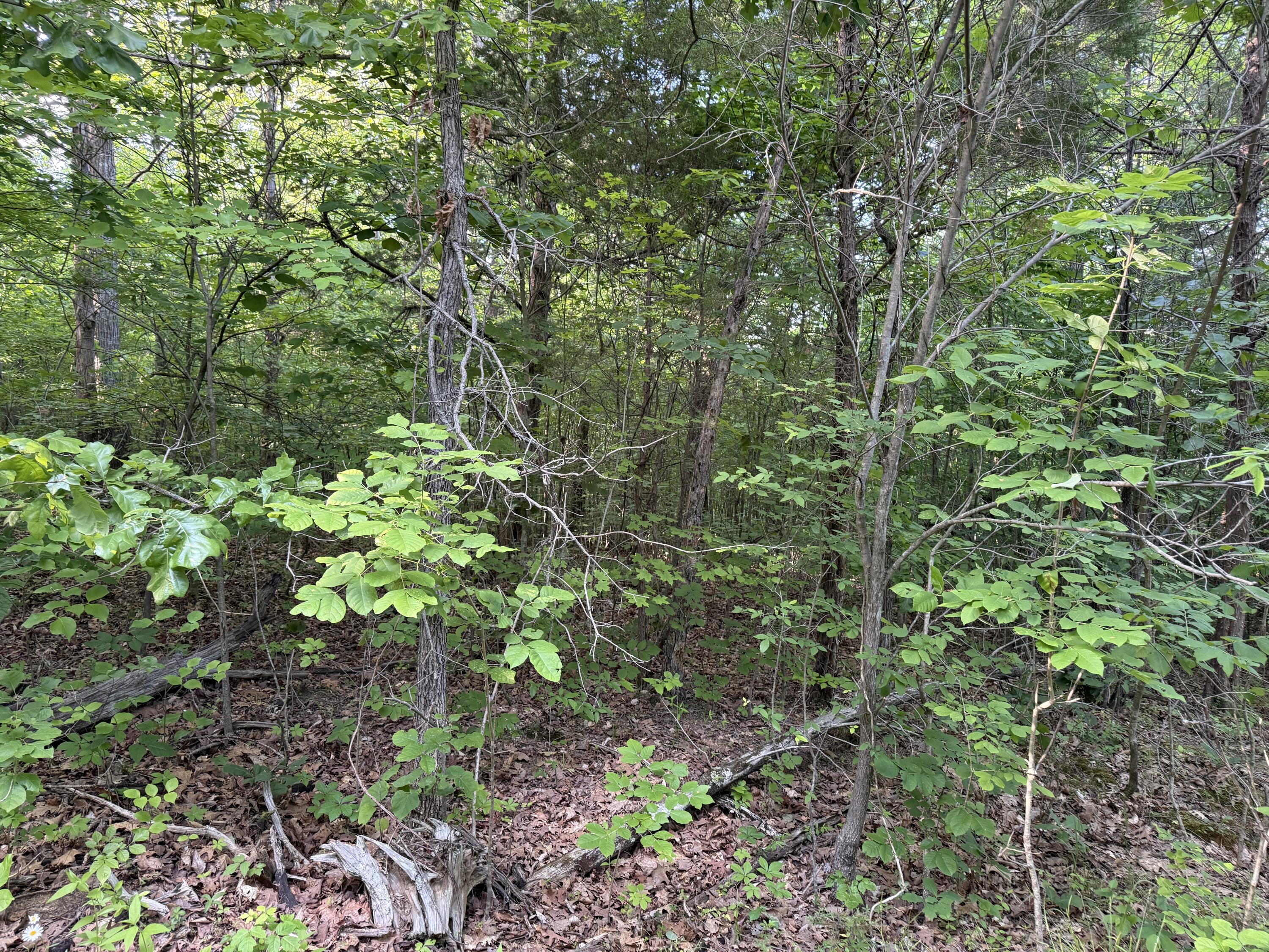 0 Olaton Road Property Photo 19
