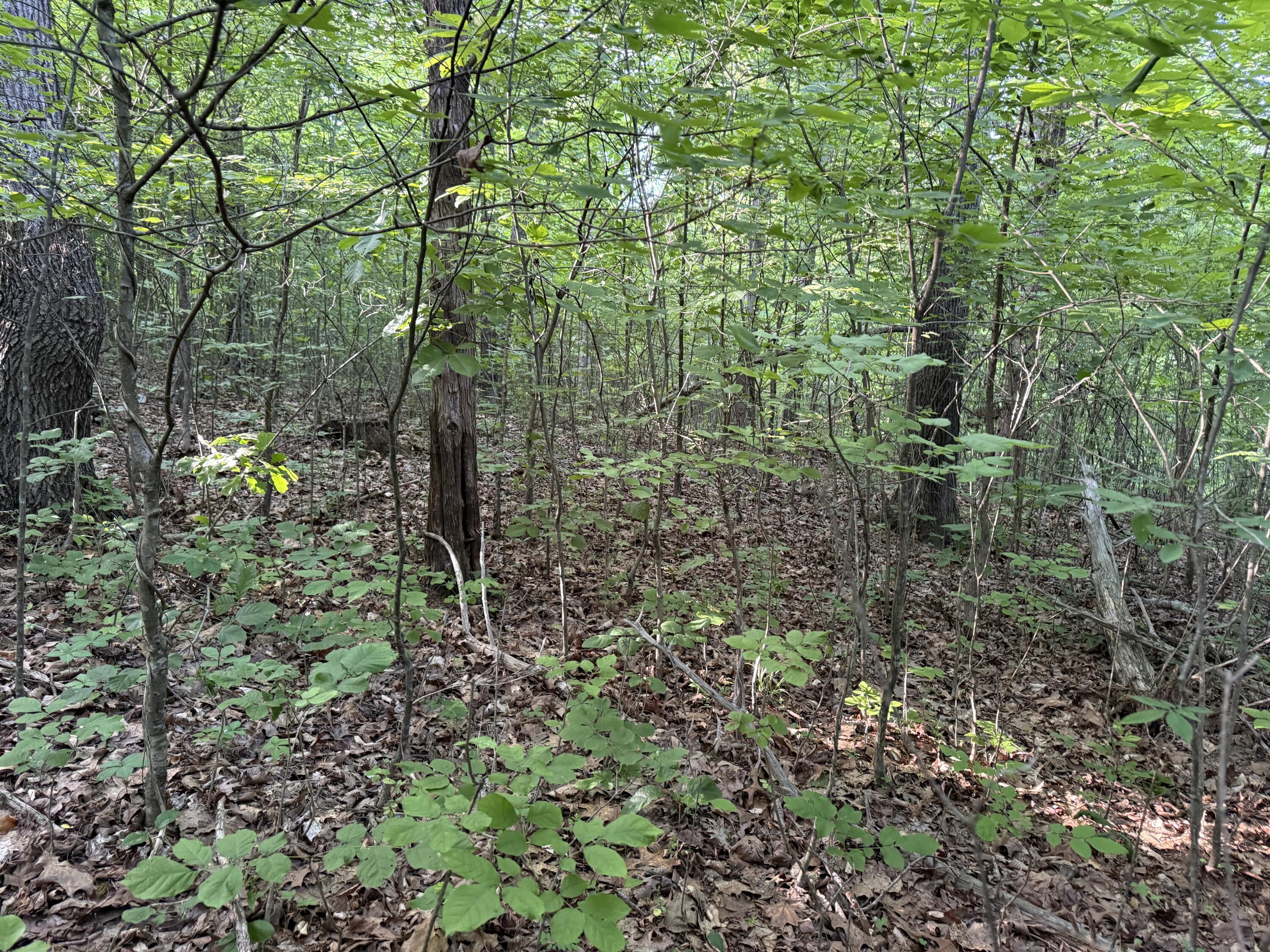 0 Olaton Road Property Photo 20