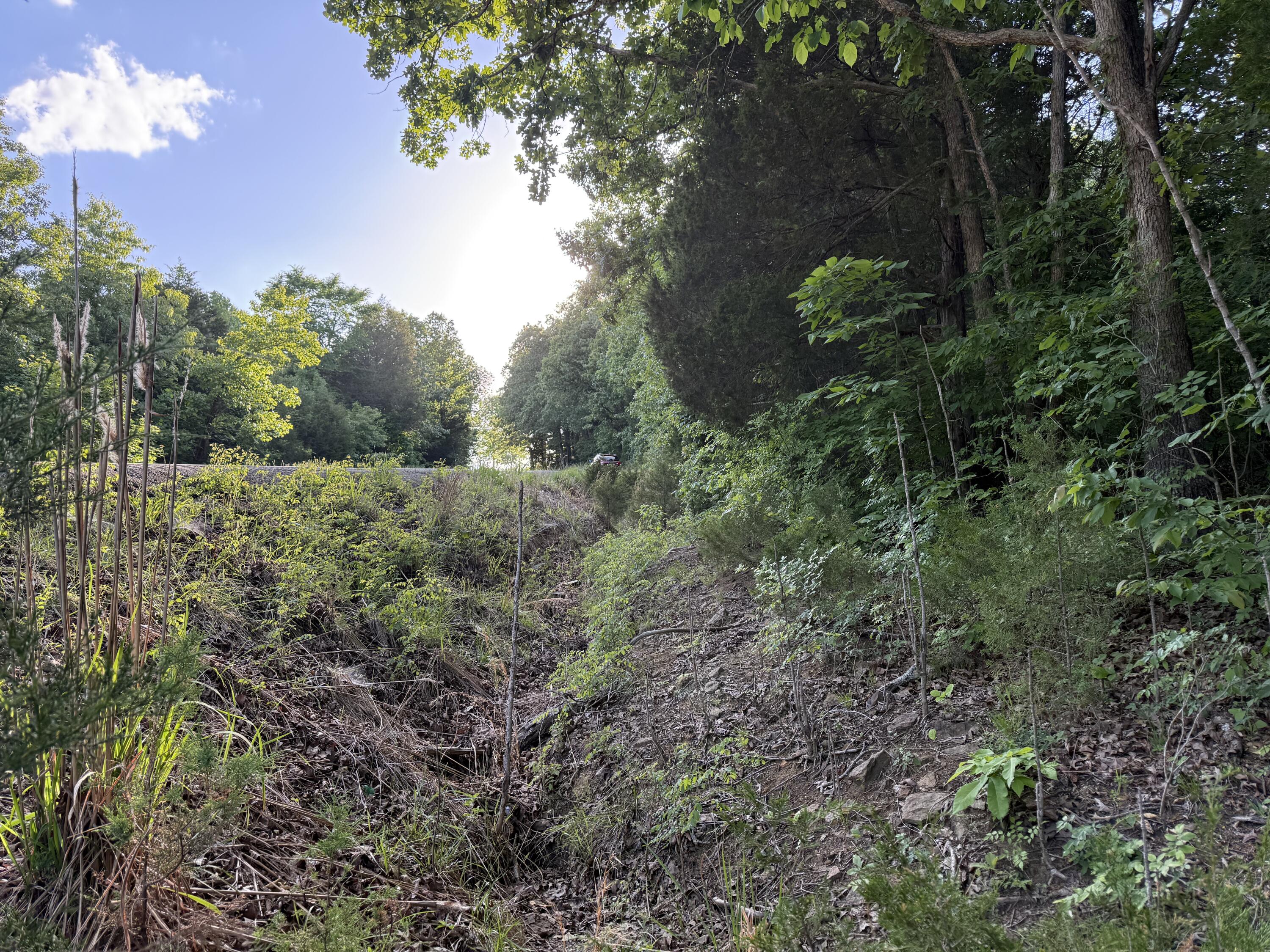 0 Olaton Road Property Photo 22