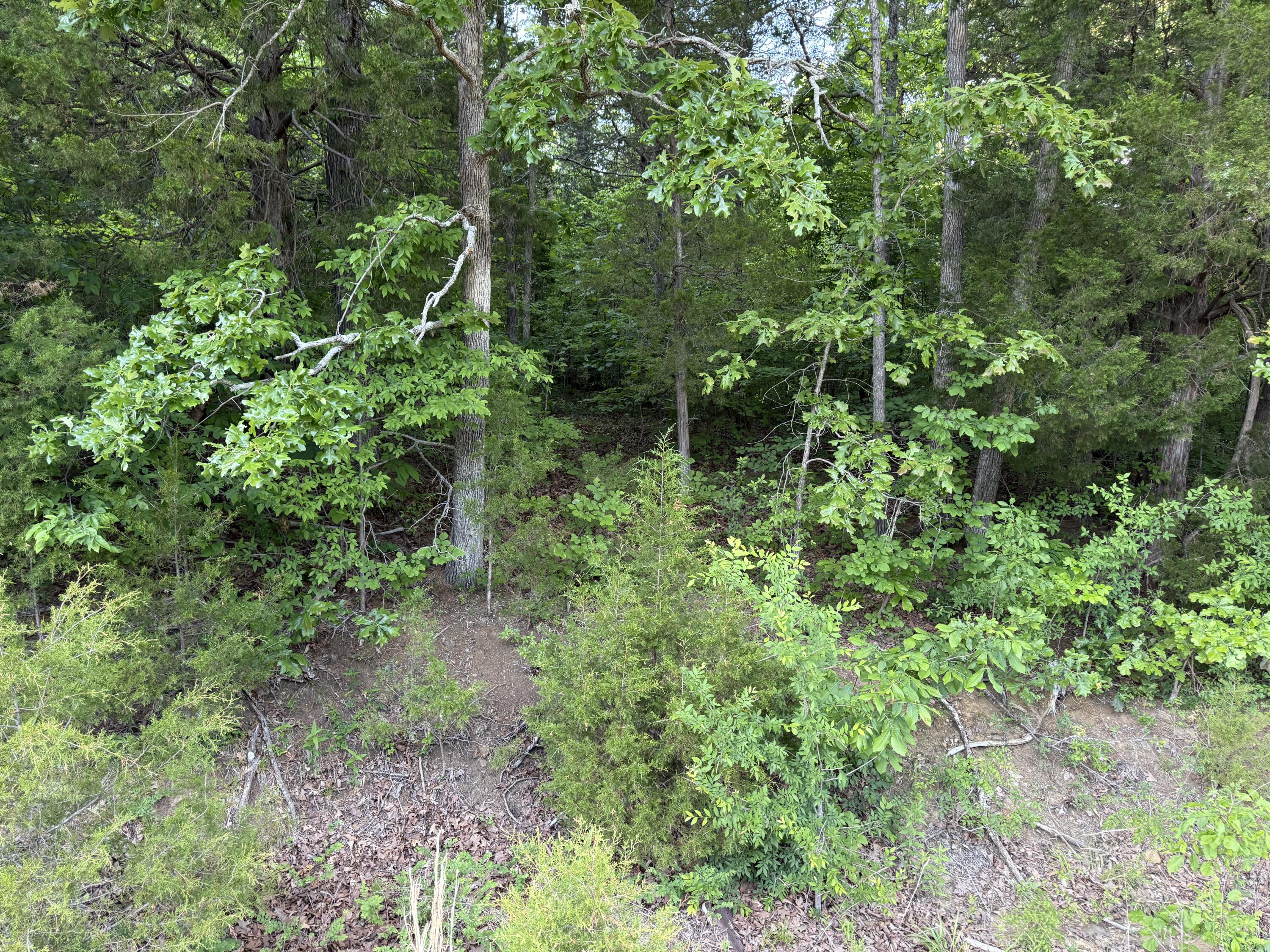 0 Olaton Road Property Photo 23