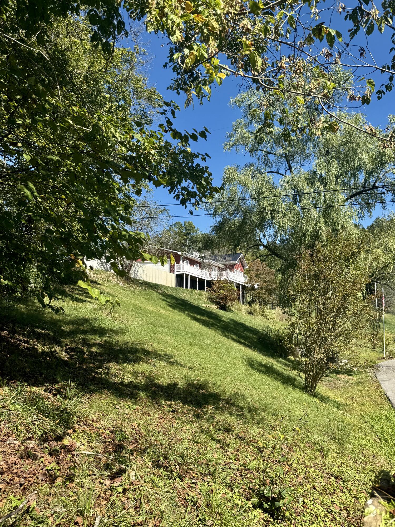 262 Mt. Pleasant Road Property Photo 41