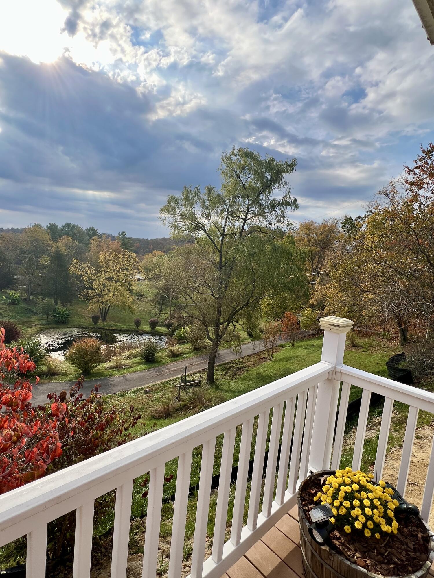 262 Mt. Pleasant Road Property Photo 50