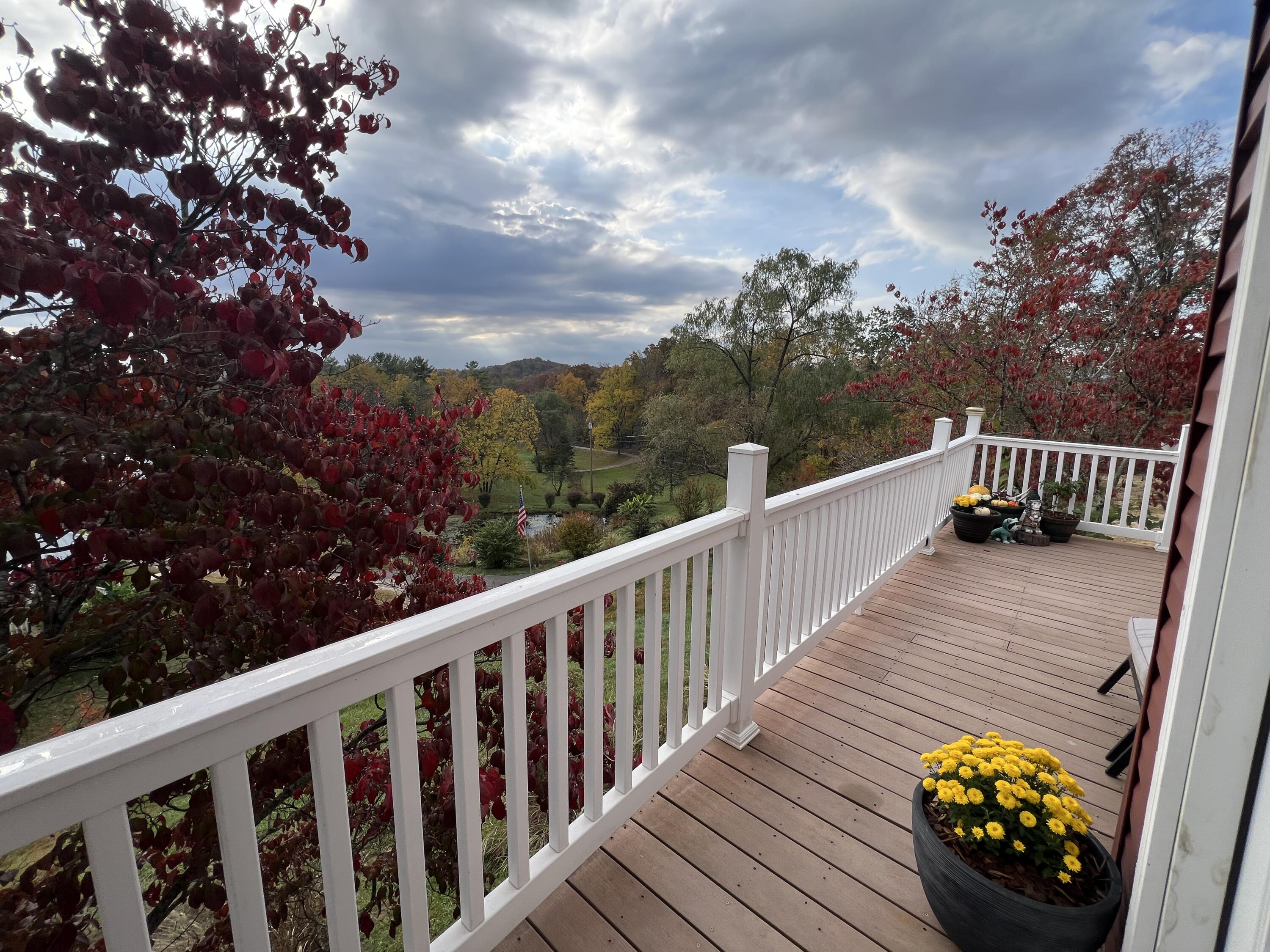 262 Mt. Pleasant Road Property Photo 52