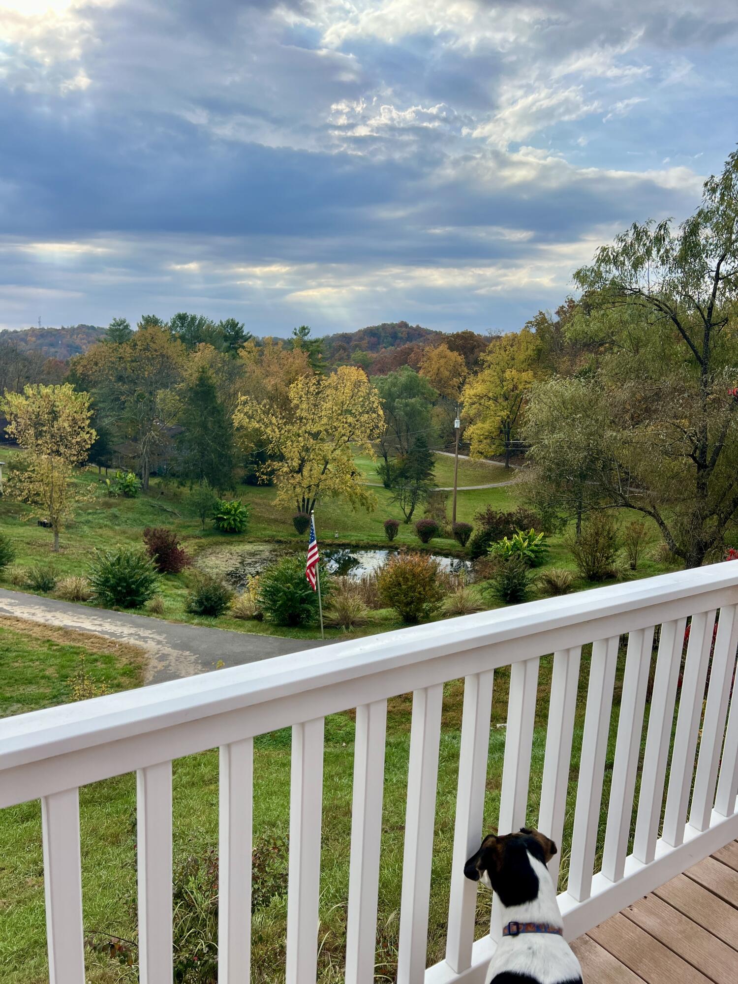 262 Mt. Pleasant Road Property Photo 53