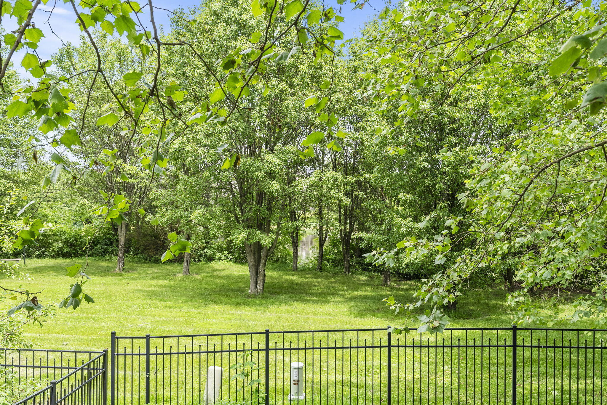 777 Maidencane Drive Property Photo 33