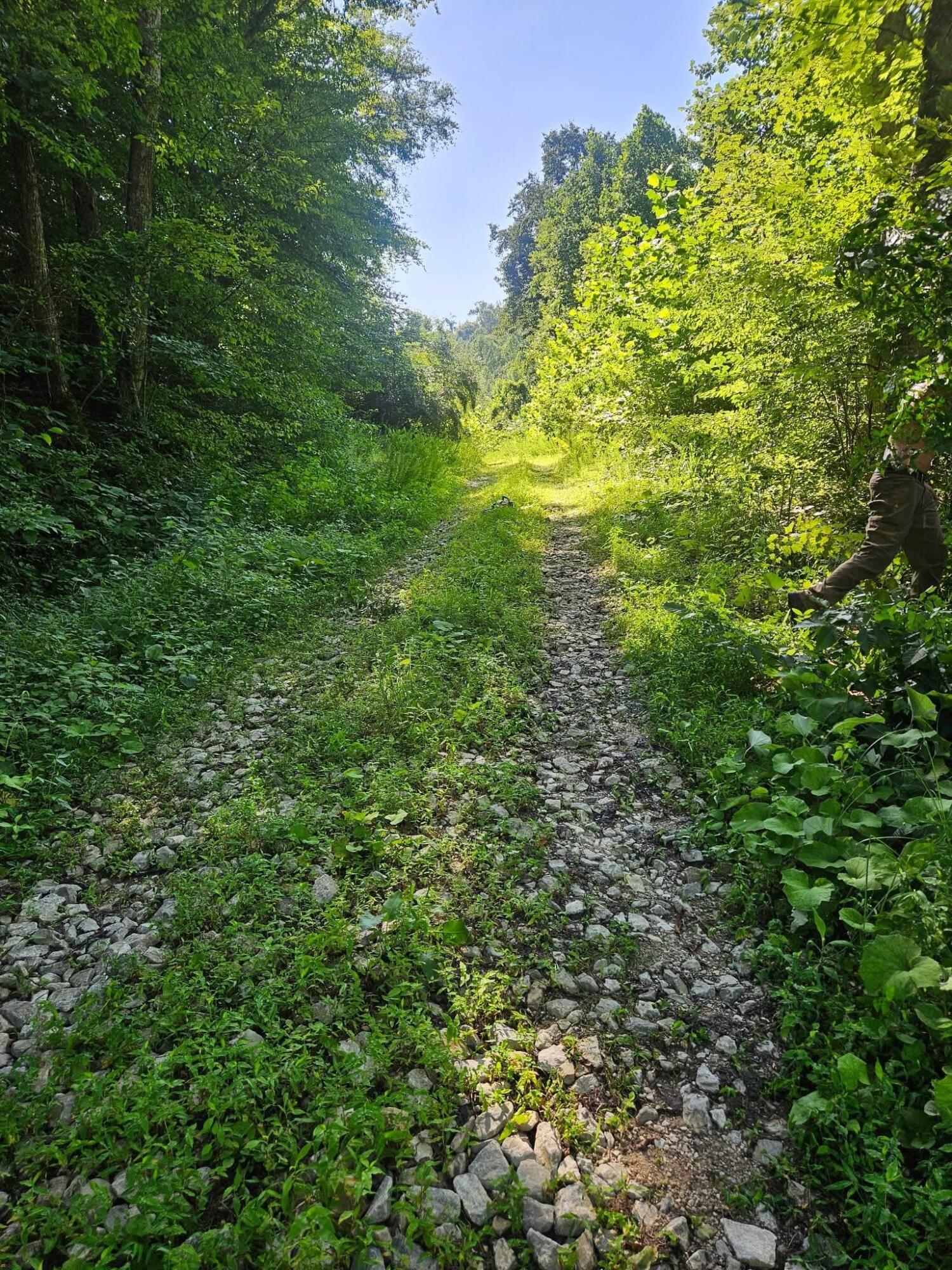 4242 Right Fork Georges Creek Road