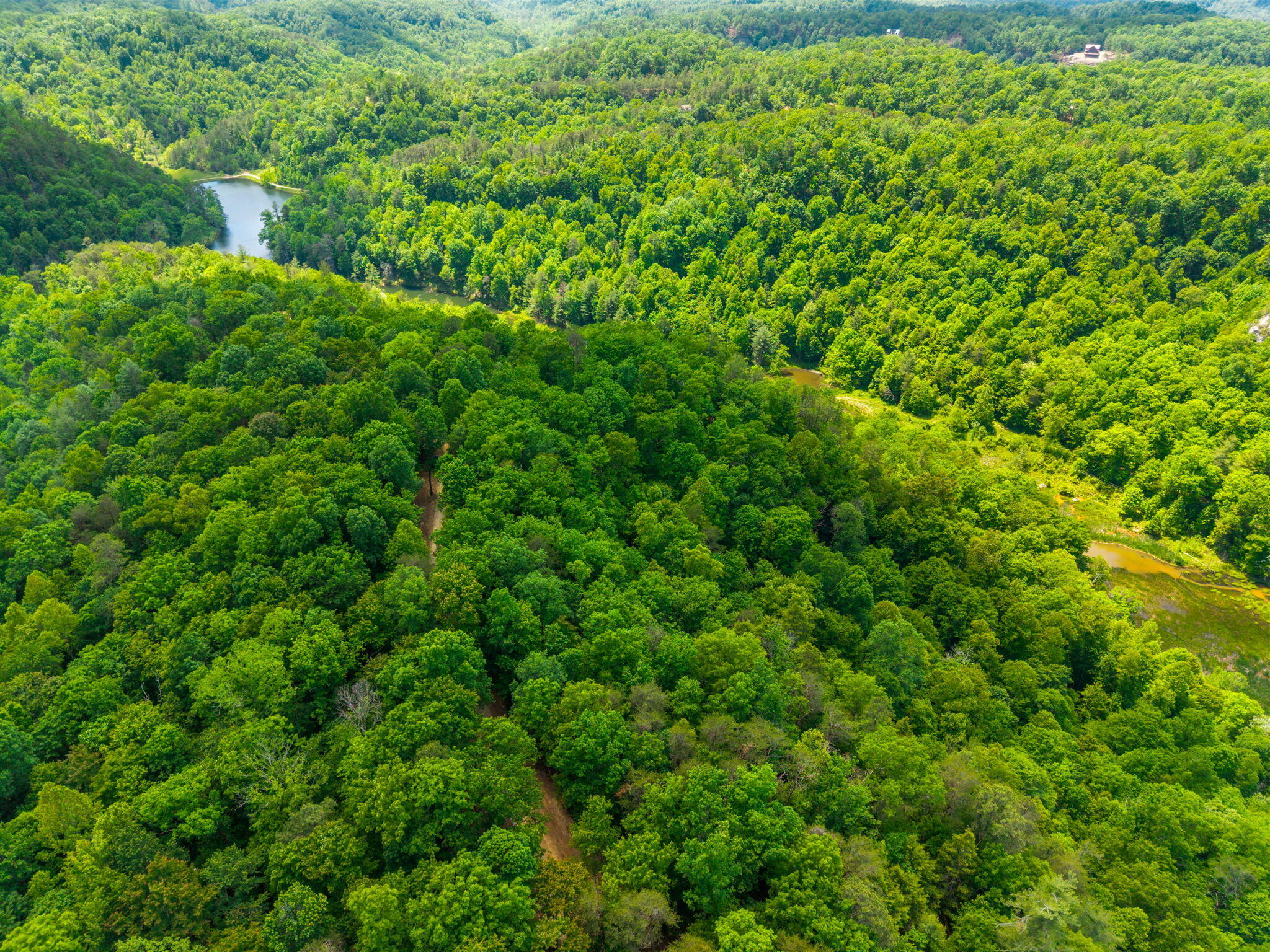 Lot 241-243 Cedarwood Drive Property Photo 3