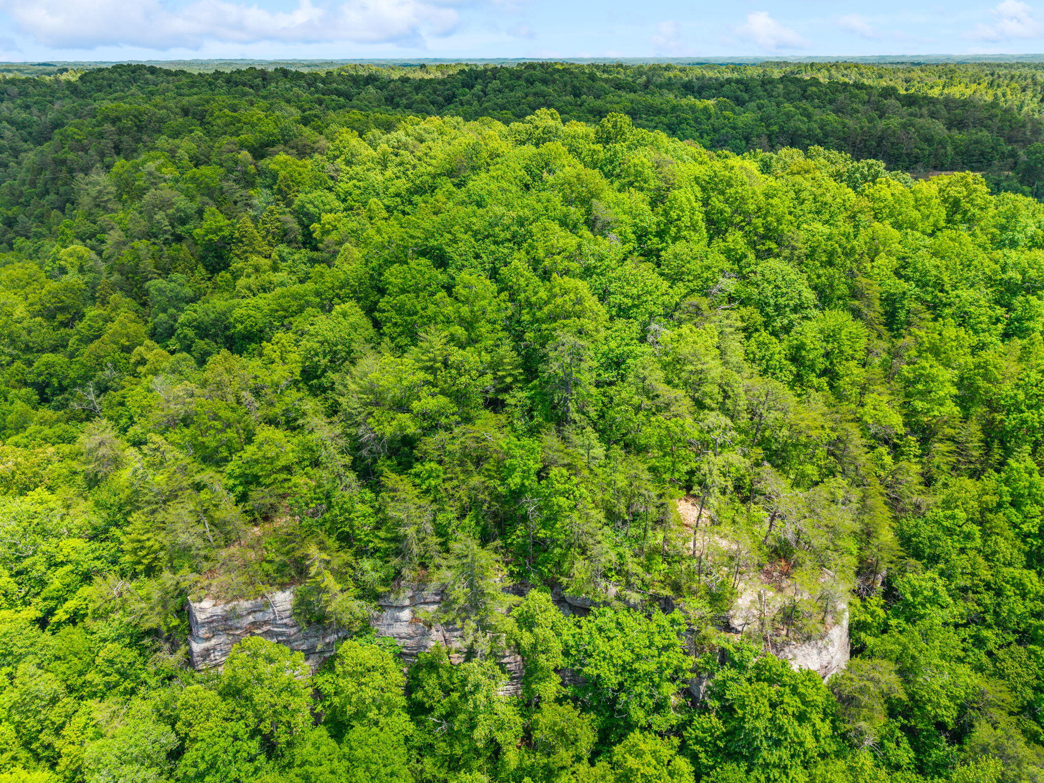 Lot 241-243 Cedarwood Drive Property Photo 6