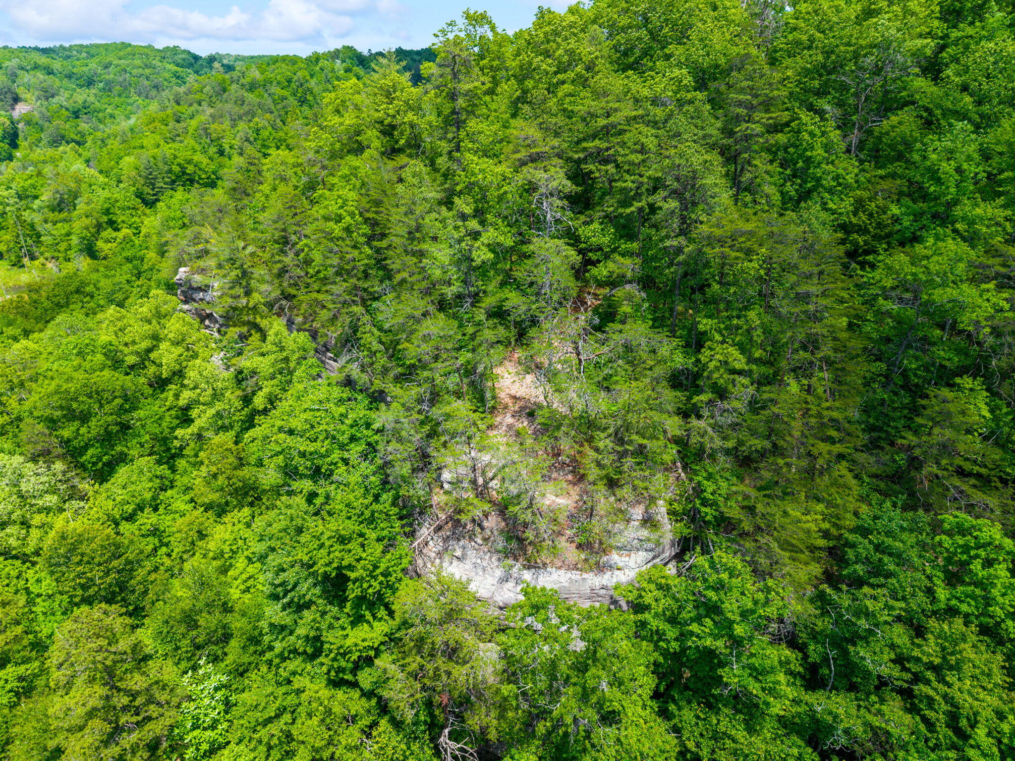 Lot 241-243 Cedarwood Drive Property Photo 7