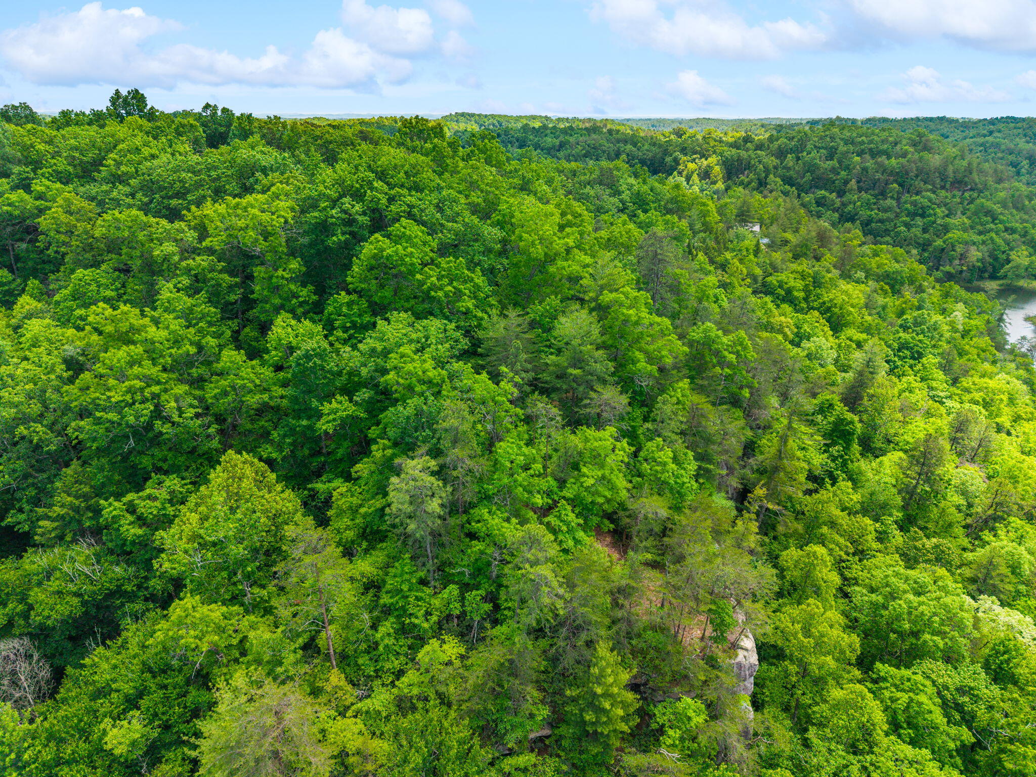 Lot 241-243 Cedarwood Drive Property Photo 10