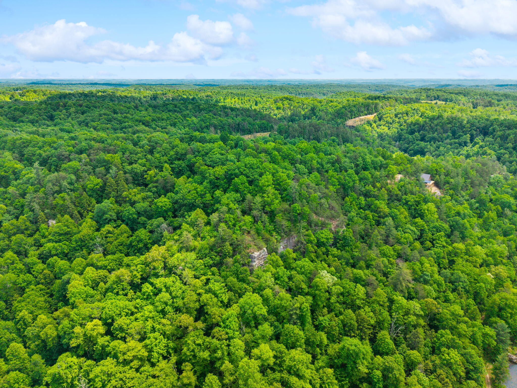 Lot 241-243 Cedarwood Drive Property Photo 11