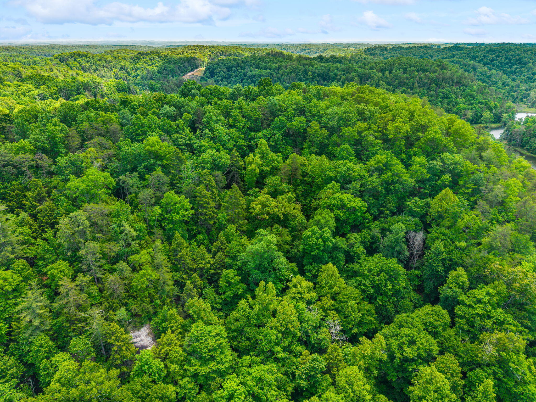 Lot 241-243 Cedarwood Drive Property Photo 13