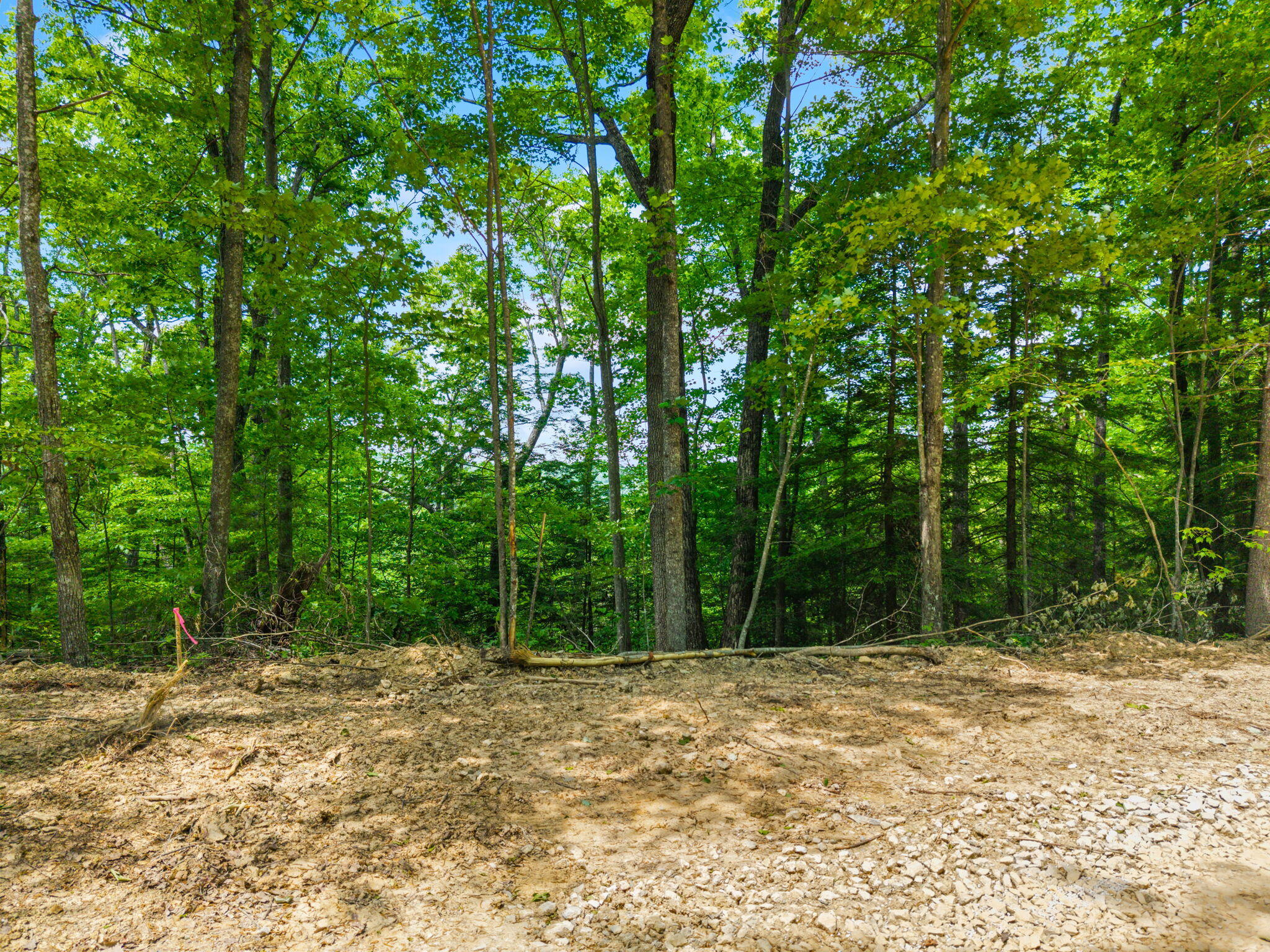 Lot 241-243 Cedarwood Drive Property Photo 21