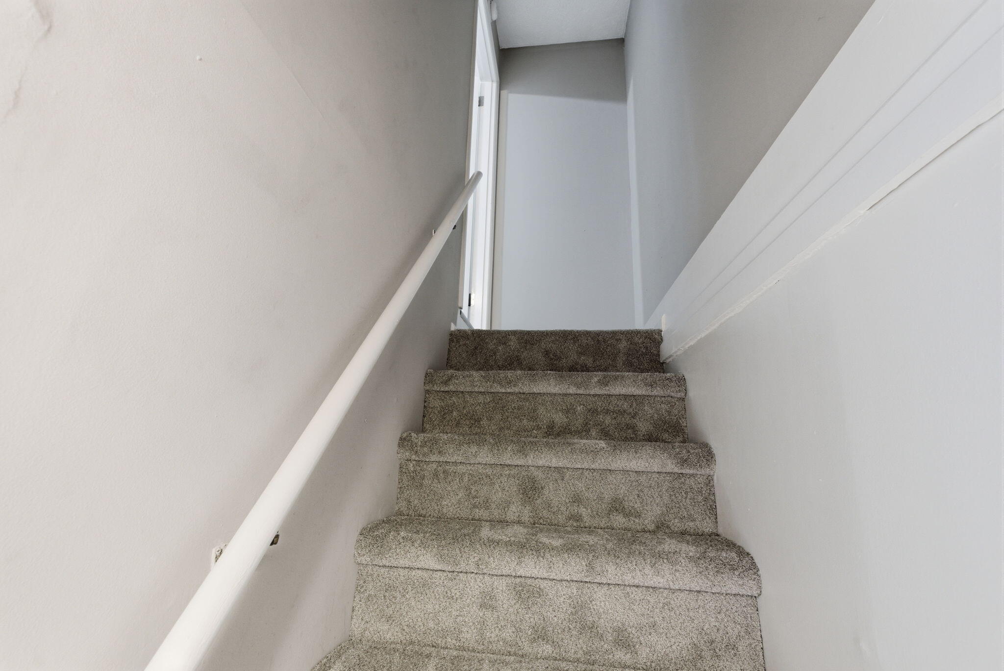 1429 Dale Drive Property Photo 20