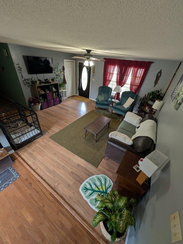 17 Cecelia Lane Property Photo 4