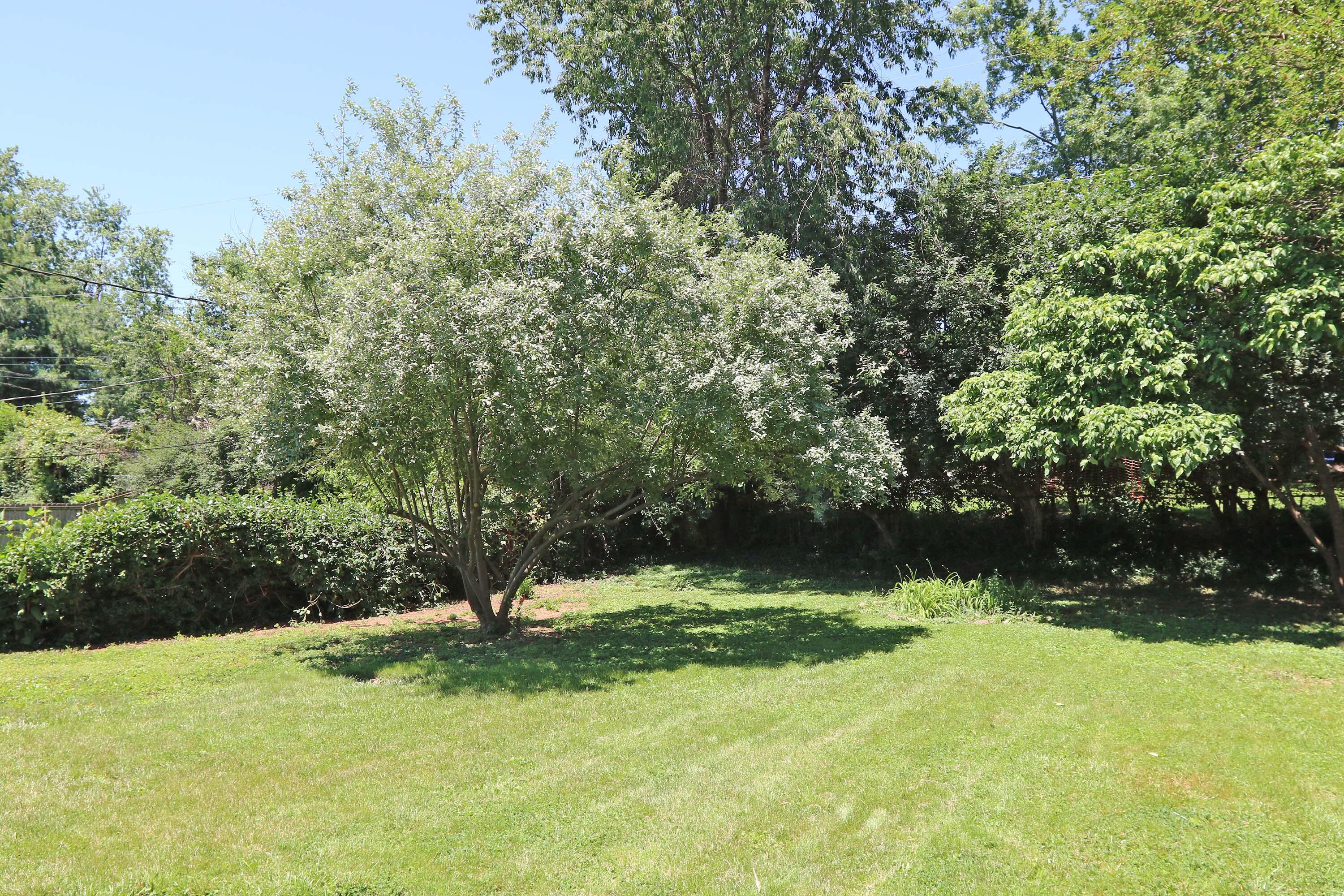 215 Mandalay Road Property Photo 27