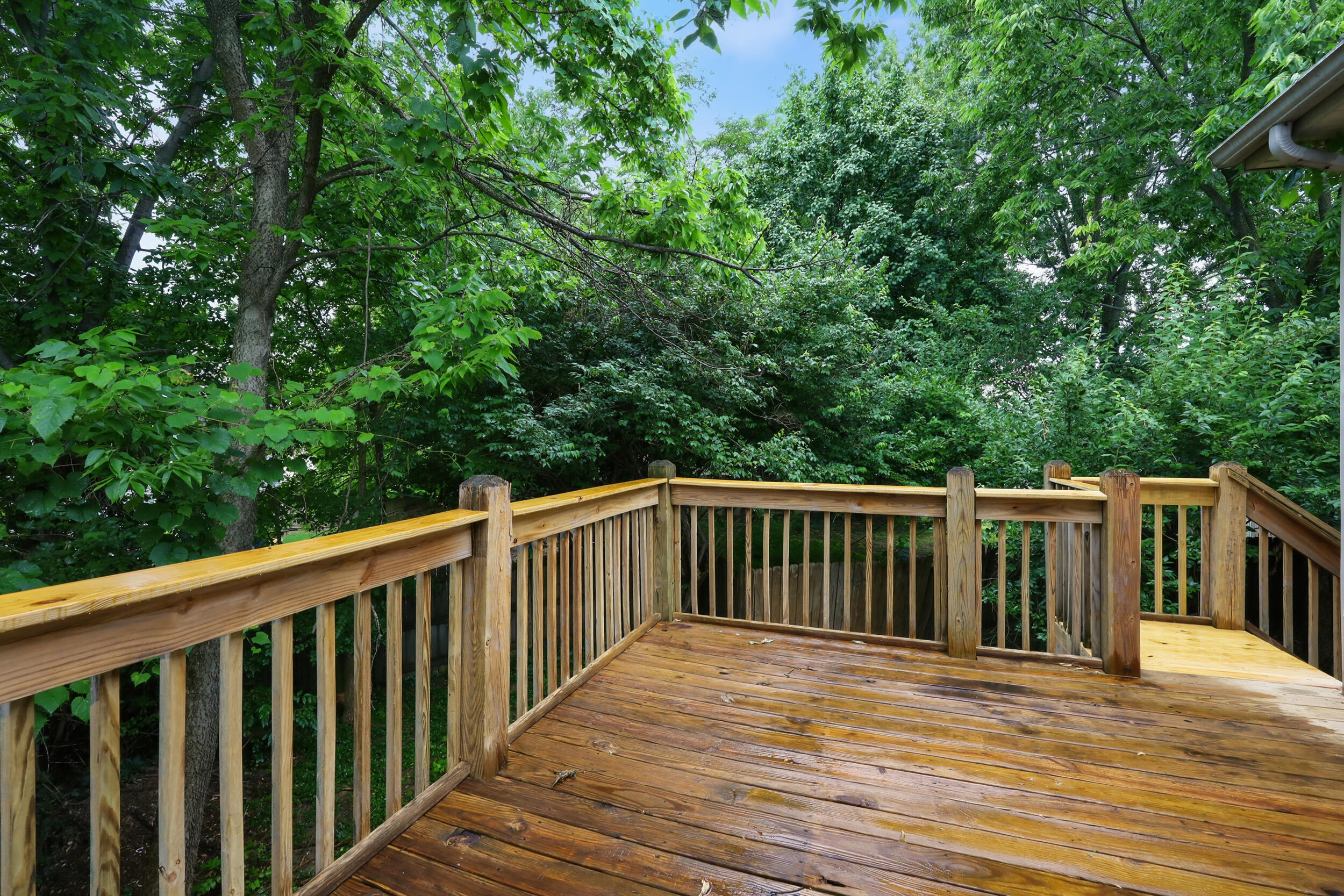 672 Danby Woods Drive Property Photo 5