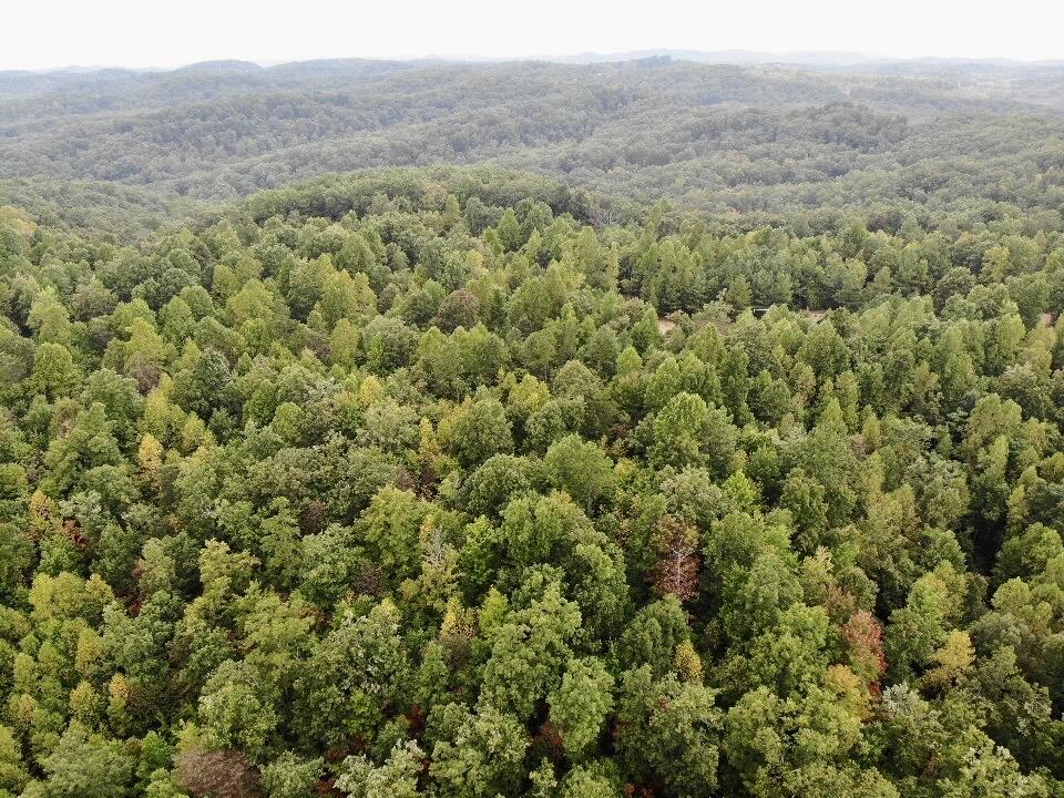 3680 Copper Creek Road Property Photo 1