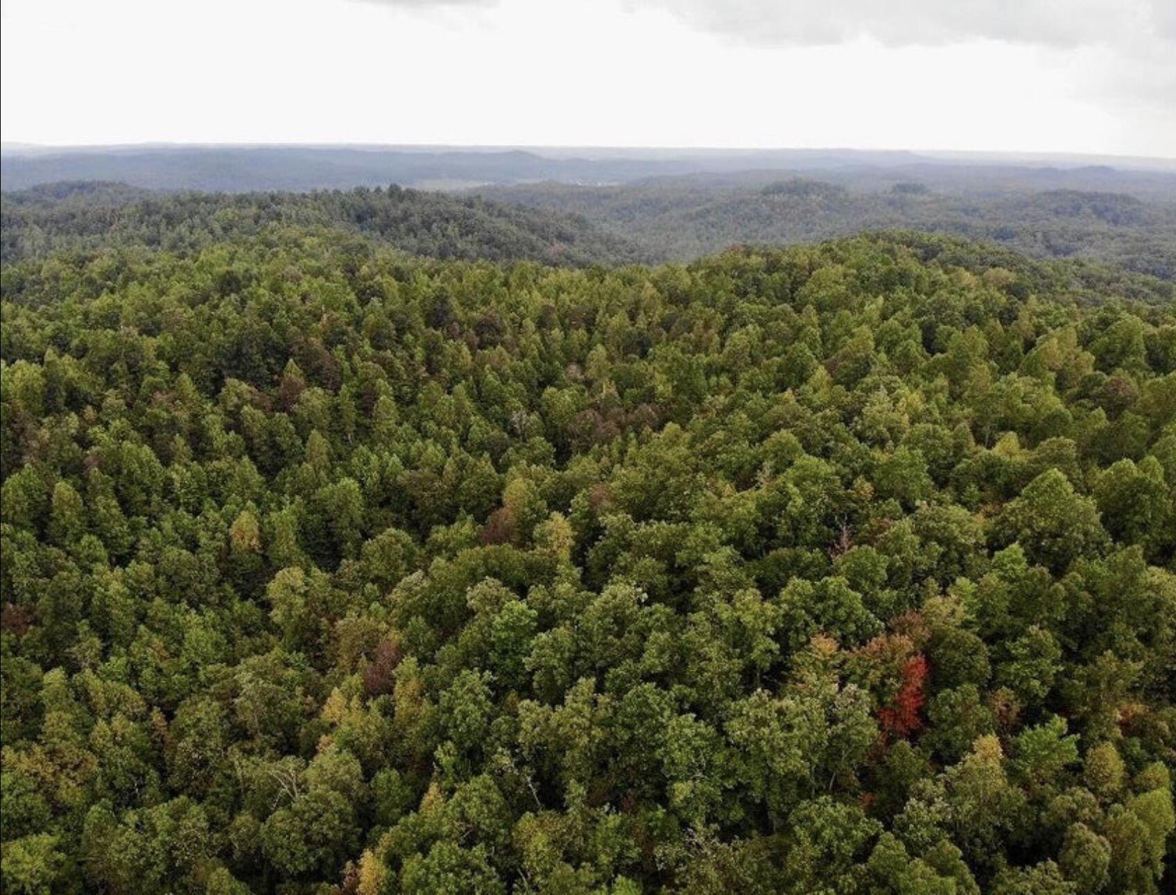 3680 Copper Creek Road Property Photo 3