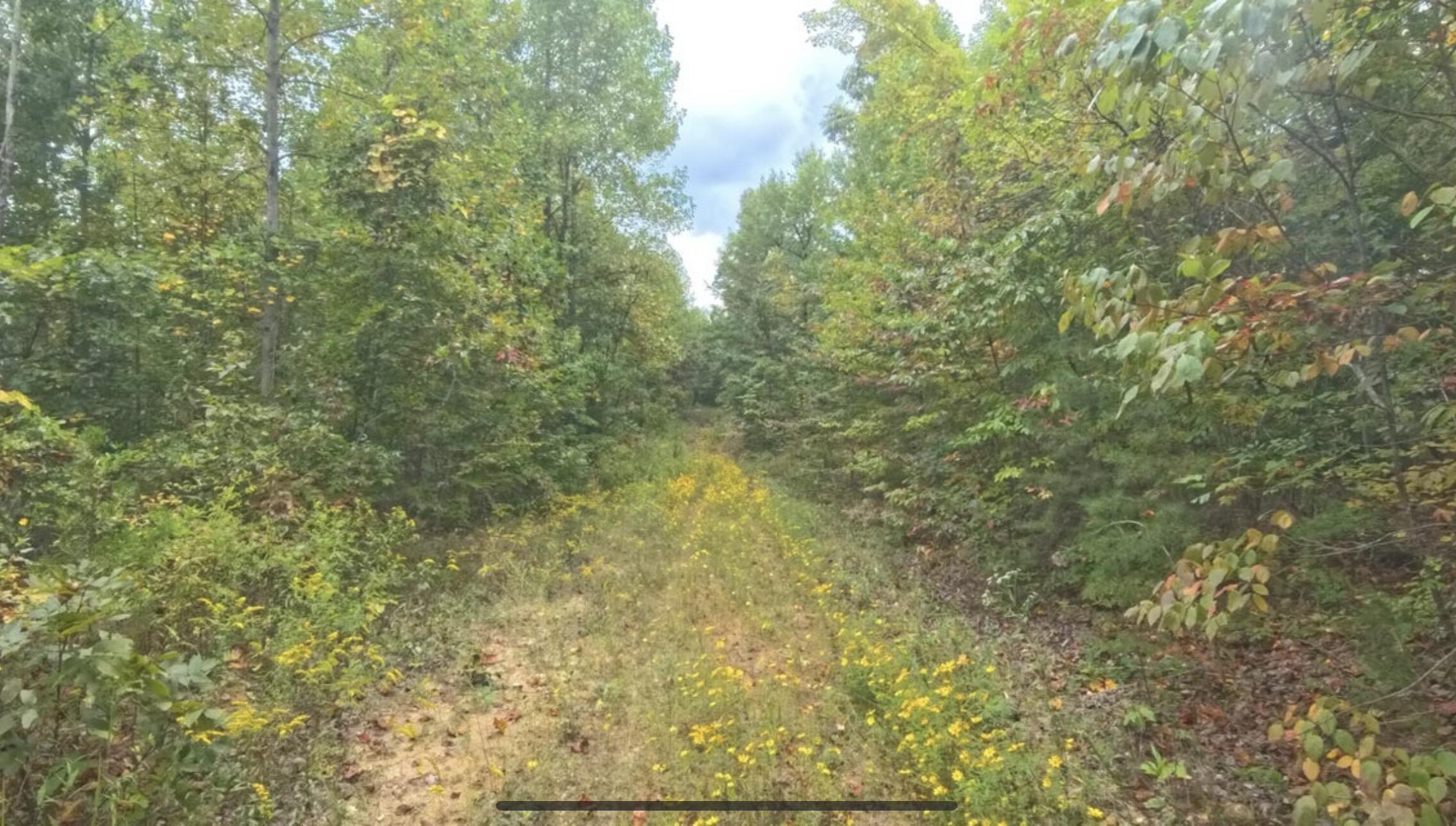 3680 Copper Creek Road Property Photo 8