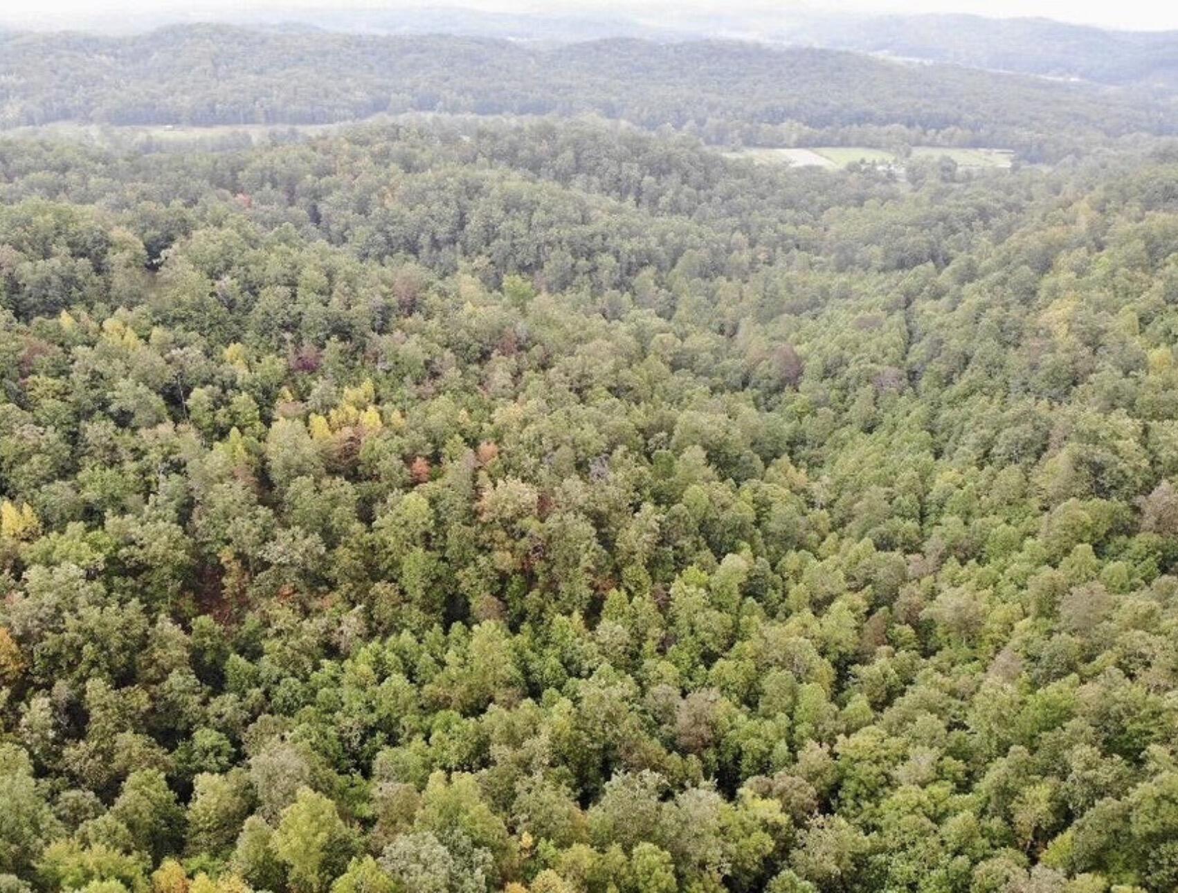 3680 Copper Creek Road Property Photo 9