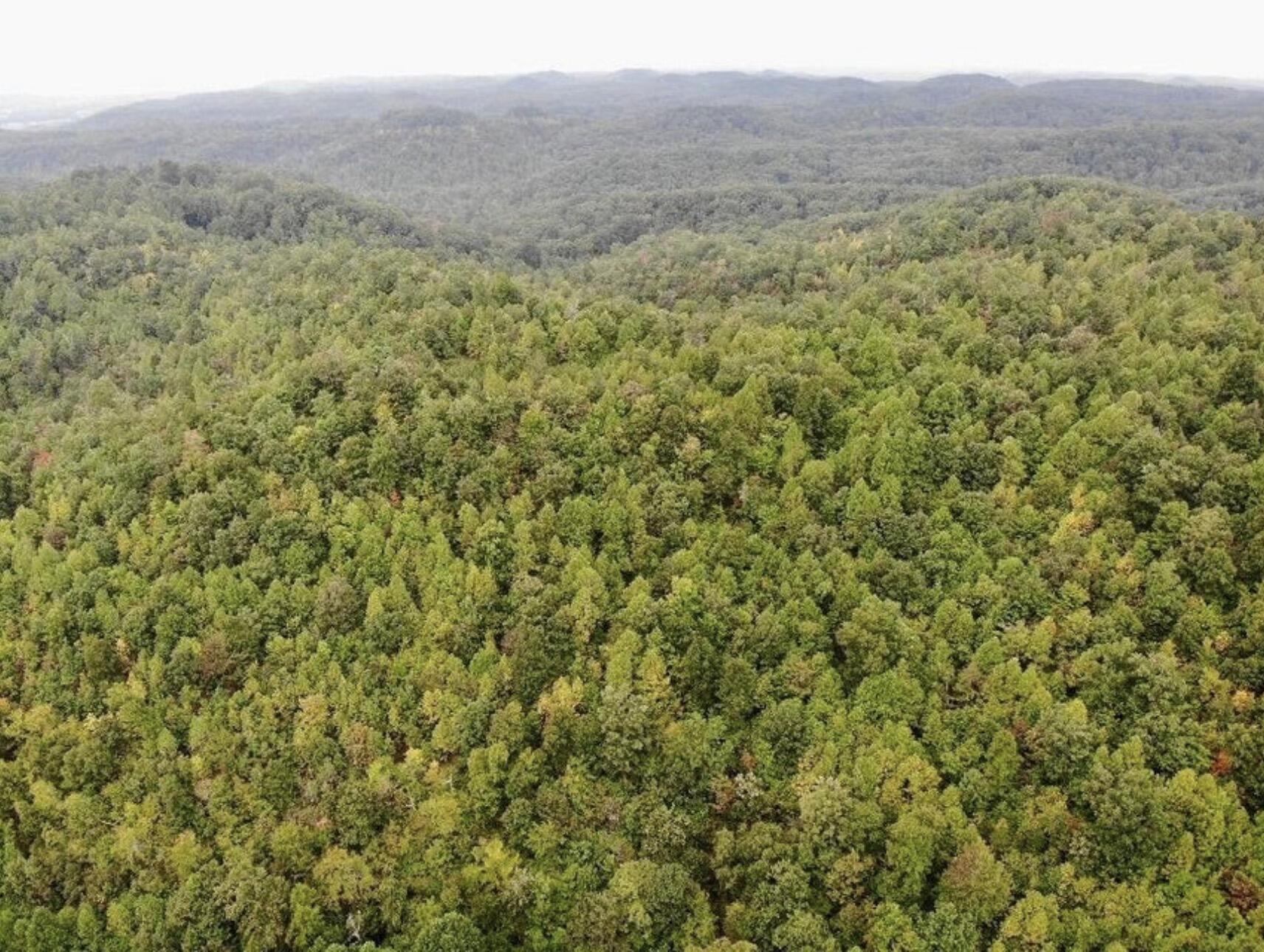 3680 Copper Creek Road Property Photo 12
