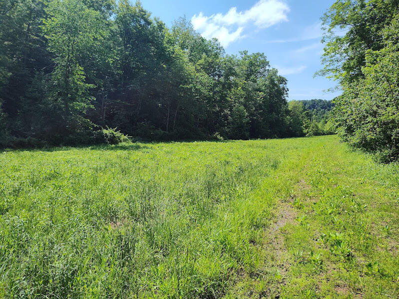 350 Boyd Cemetery Road Property Photo 1