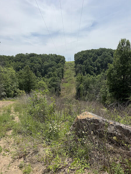 350 Boyd Cemetery Road Property Photo 19