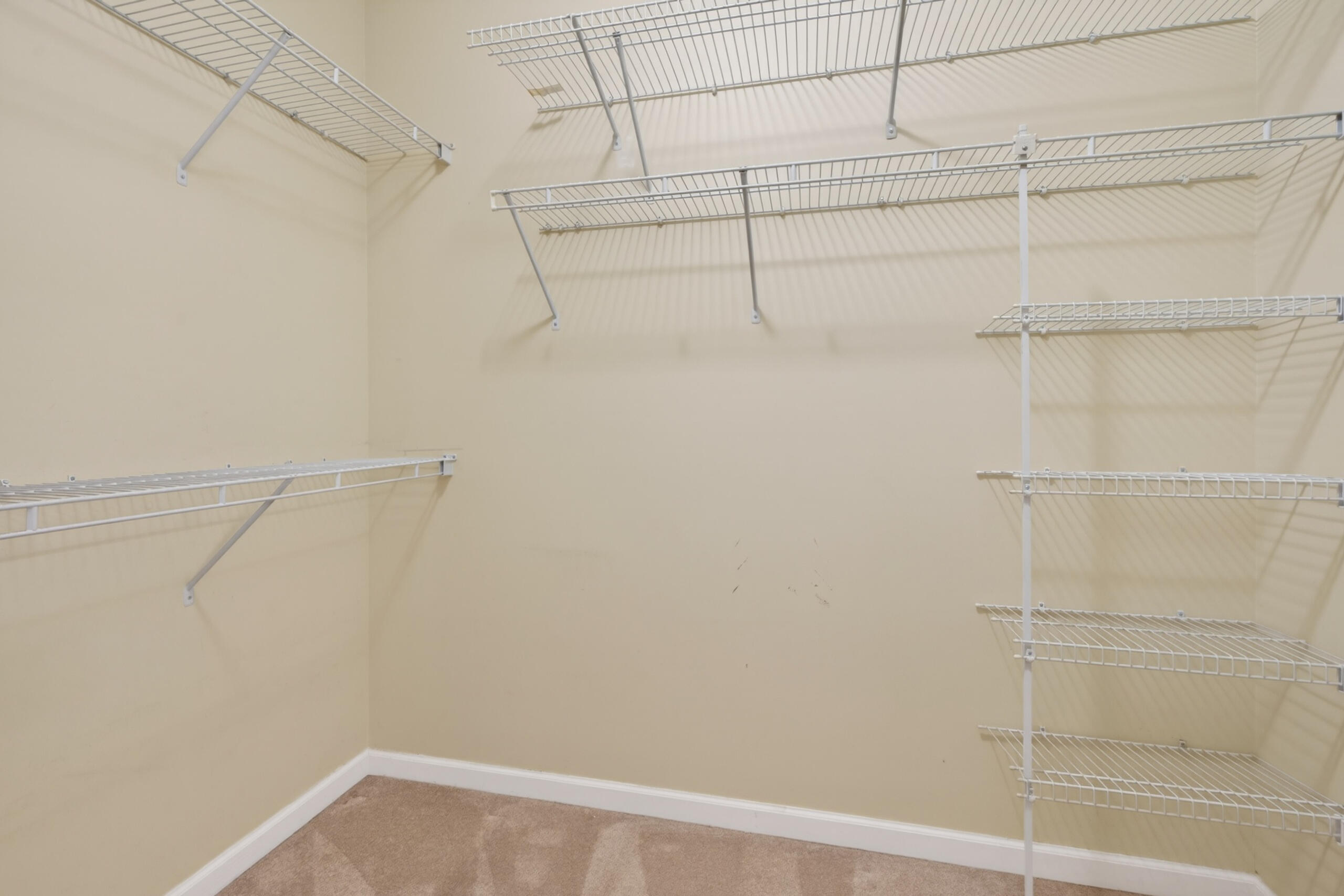 569 Goldon Trophy Trail Property Photo 24