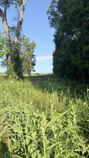 1350 Norwood Mt. Zion Road Property Photo 1
