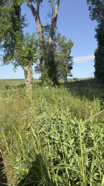 1350 Norwood Mt. Zion Road Property Photo 4