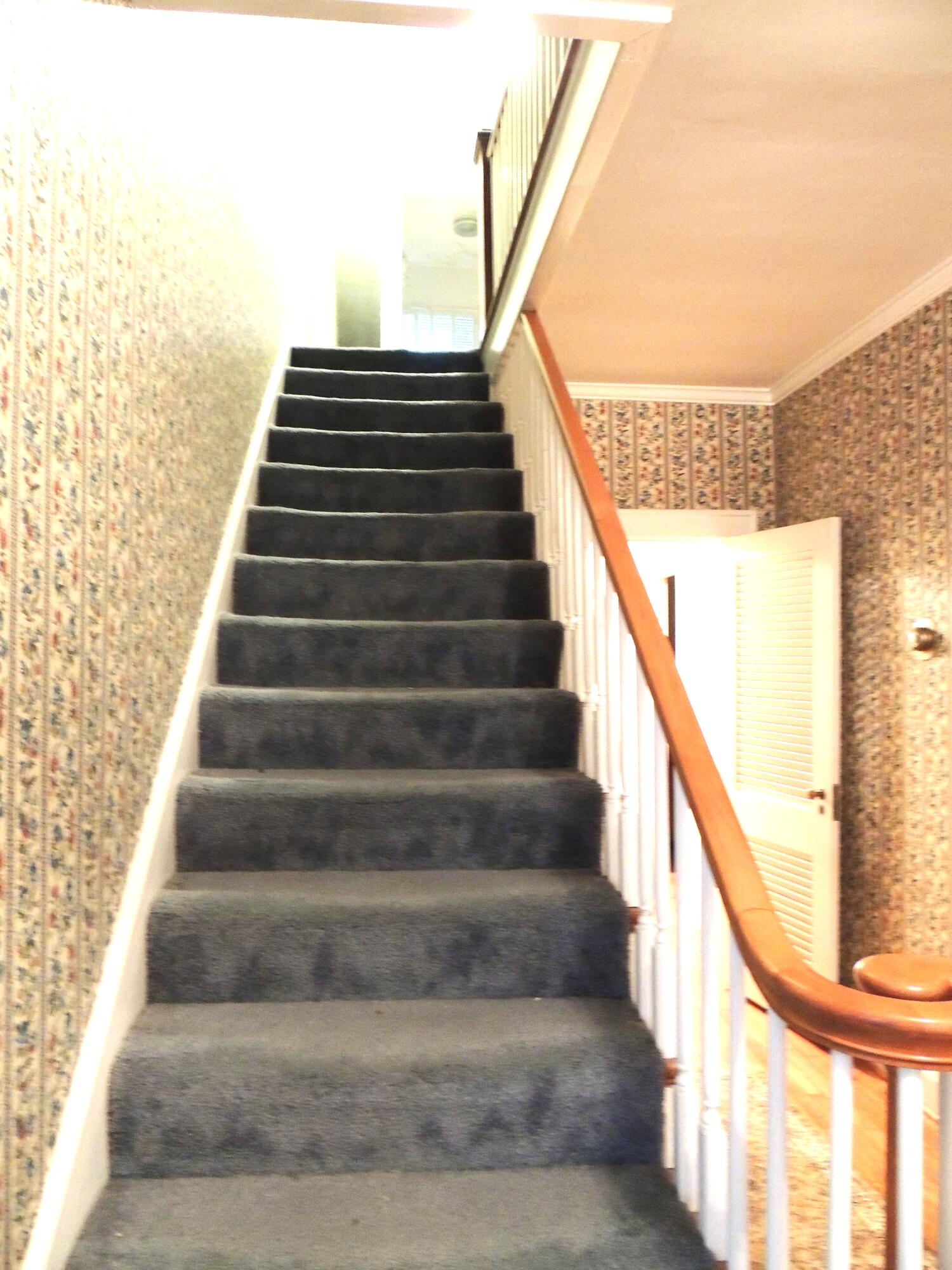 4 Tanner Court Property Photo 6