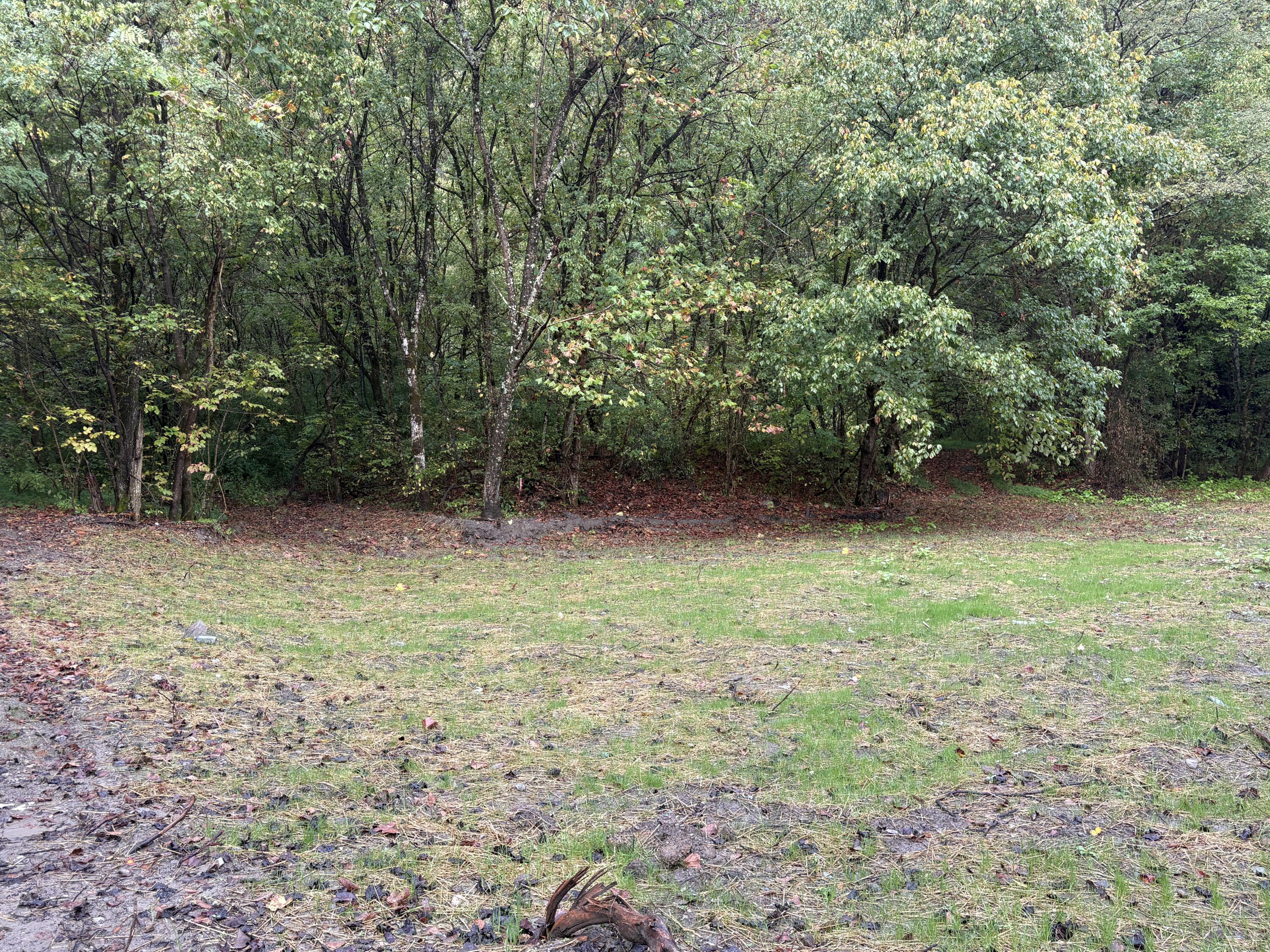 3350 Lower Pompey Branch Road Property Photo 3