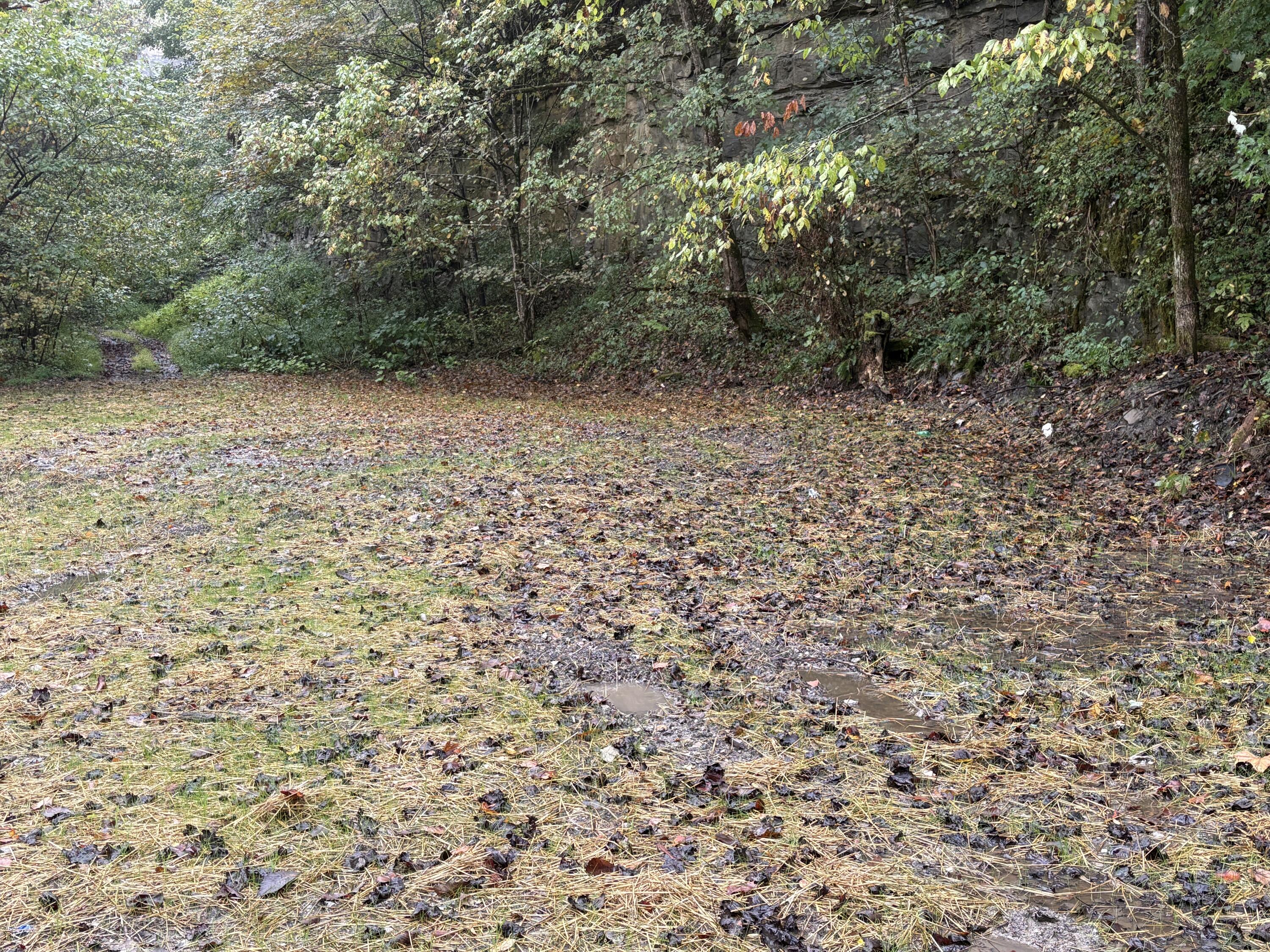 3350 Lower Pompey Branch Road Property Photo 7
