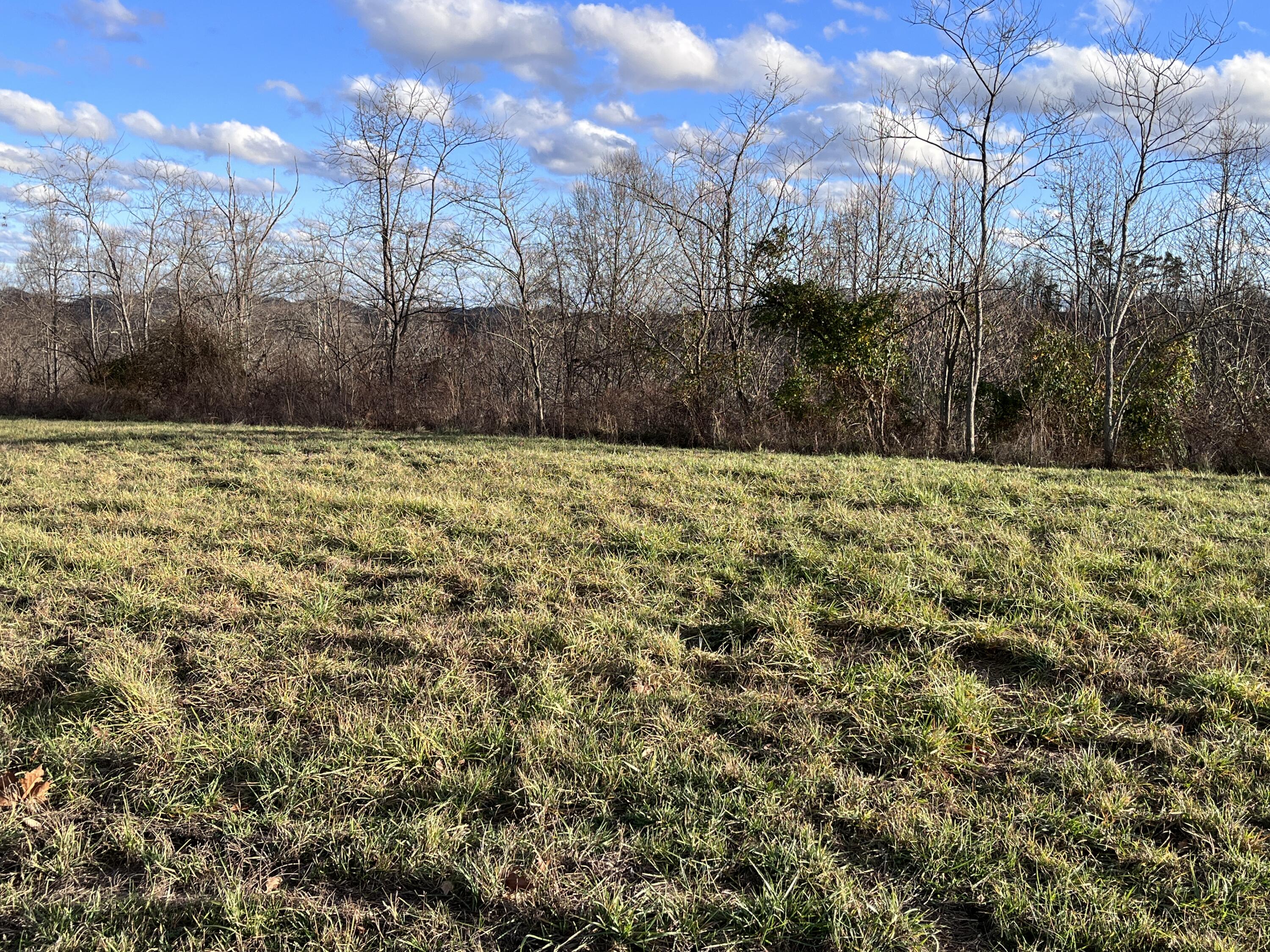 2557 Kentucky 1071 Property Photo 6