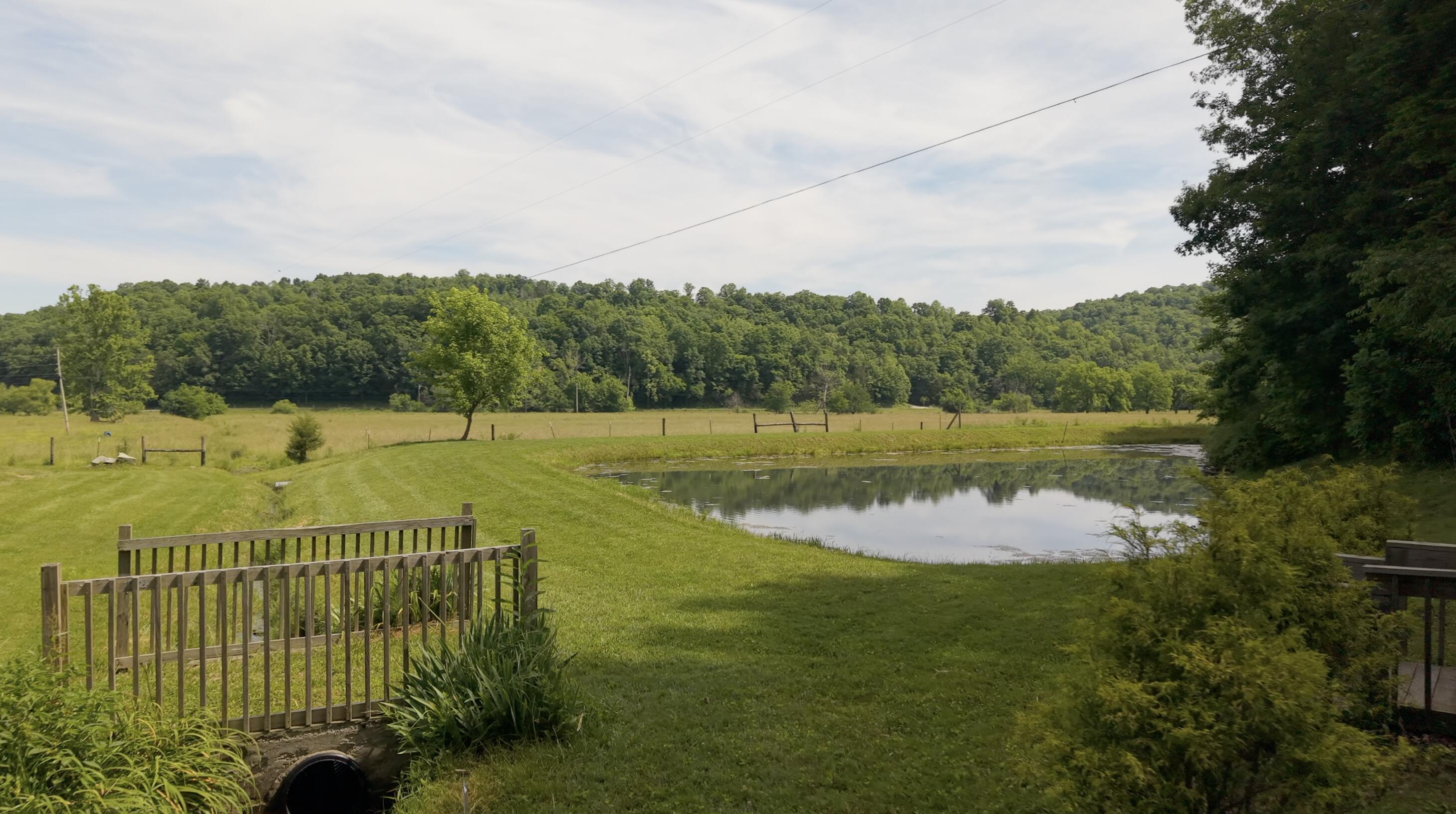 65 Proctor Place Property Photo 85