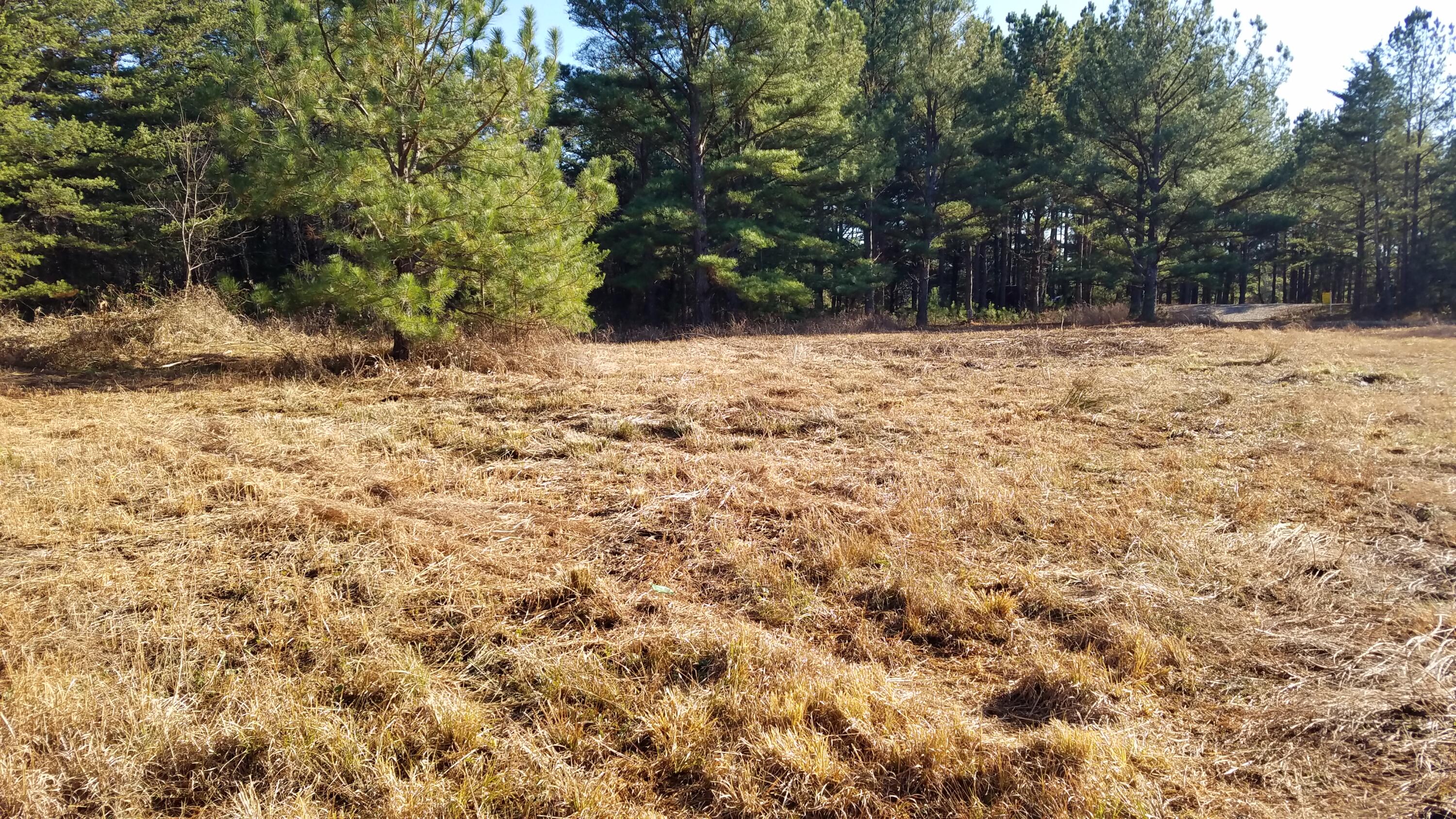 1601 Kidd Road Property Photo 1