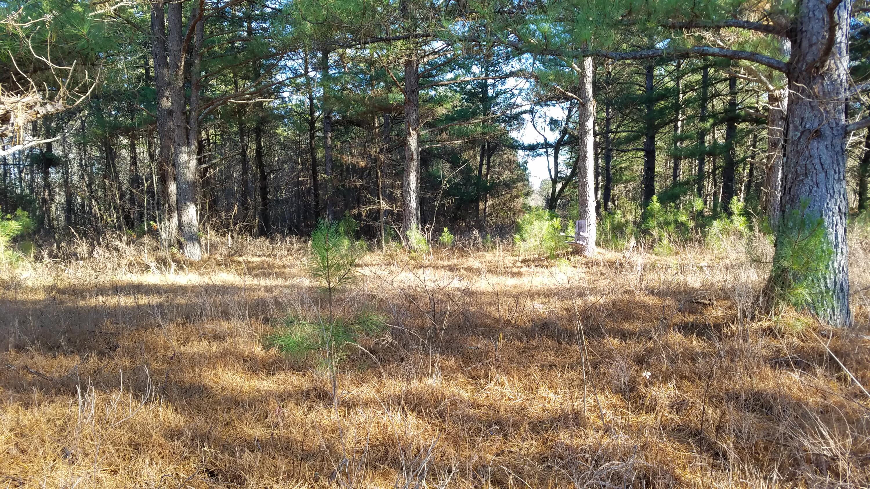 1601 Kidd Road Property Photo 2