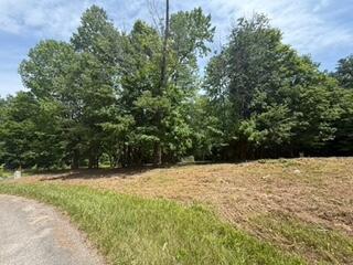 Lot 12 Twin Creeks Loop Property Photo 2
