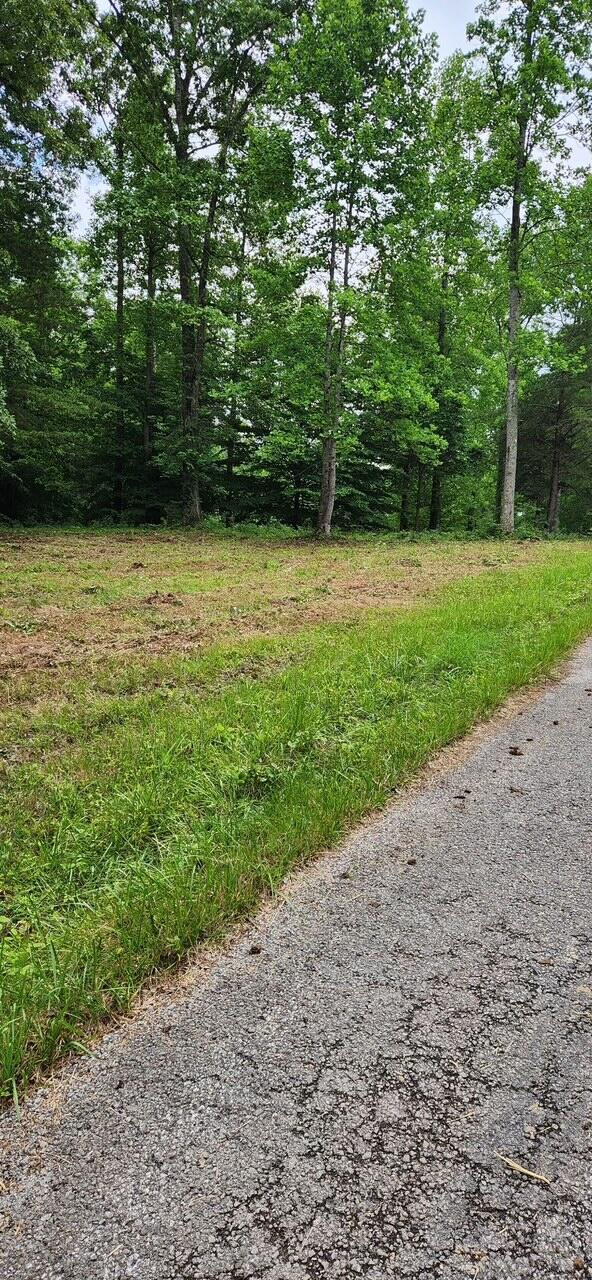 Lot 12 Twin Creeks Loop Property Photo 3