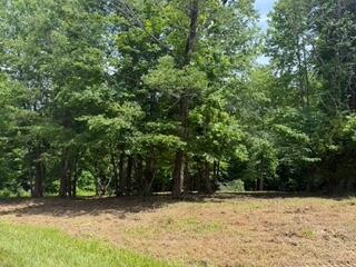 Lot 12 Twin Creeks Loop Property Photo 4