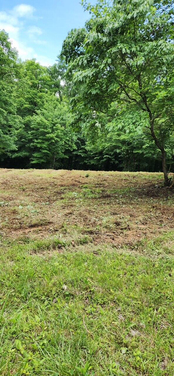 Lot 12 Twin Creeks Loop Property Photo 5