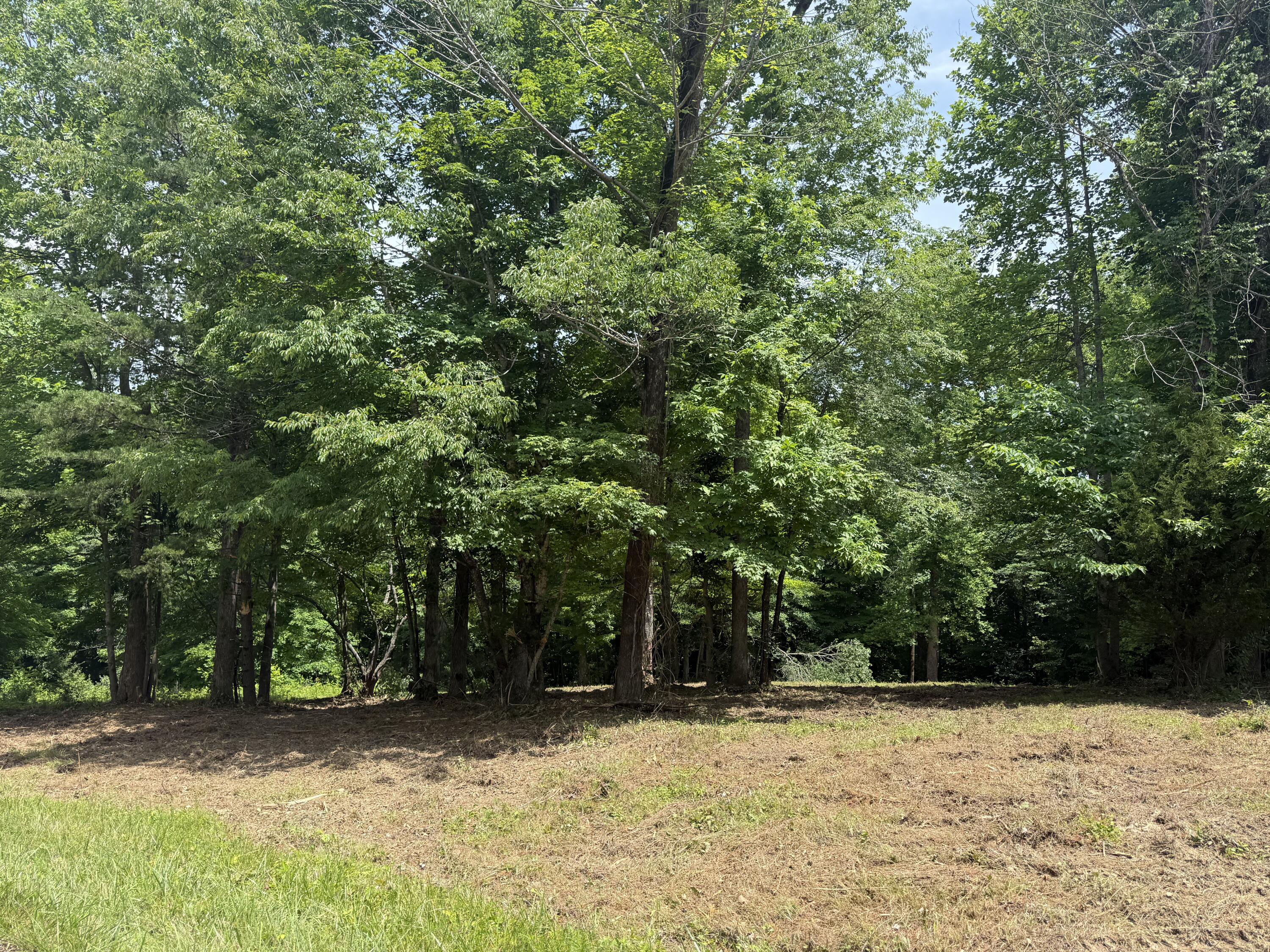 Lot 12 Twin Creeks Loop Property Photo 6