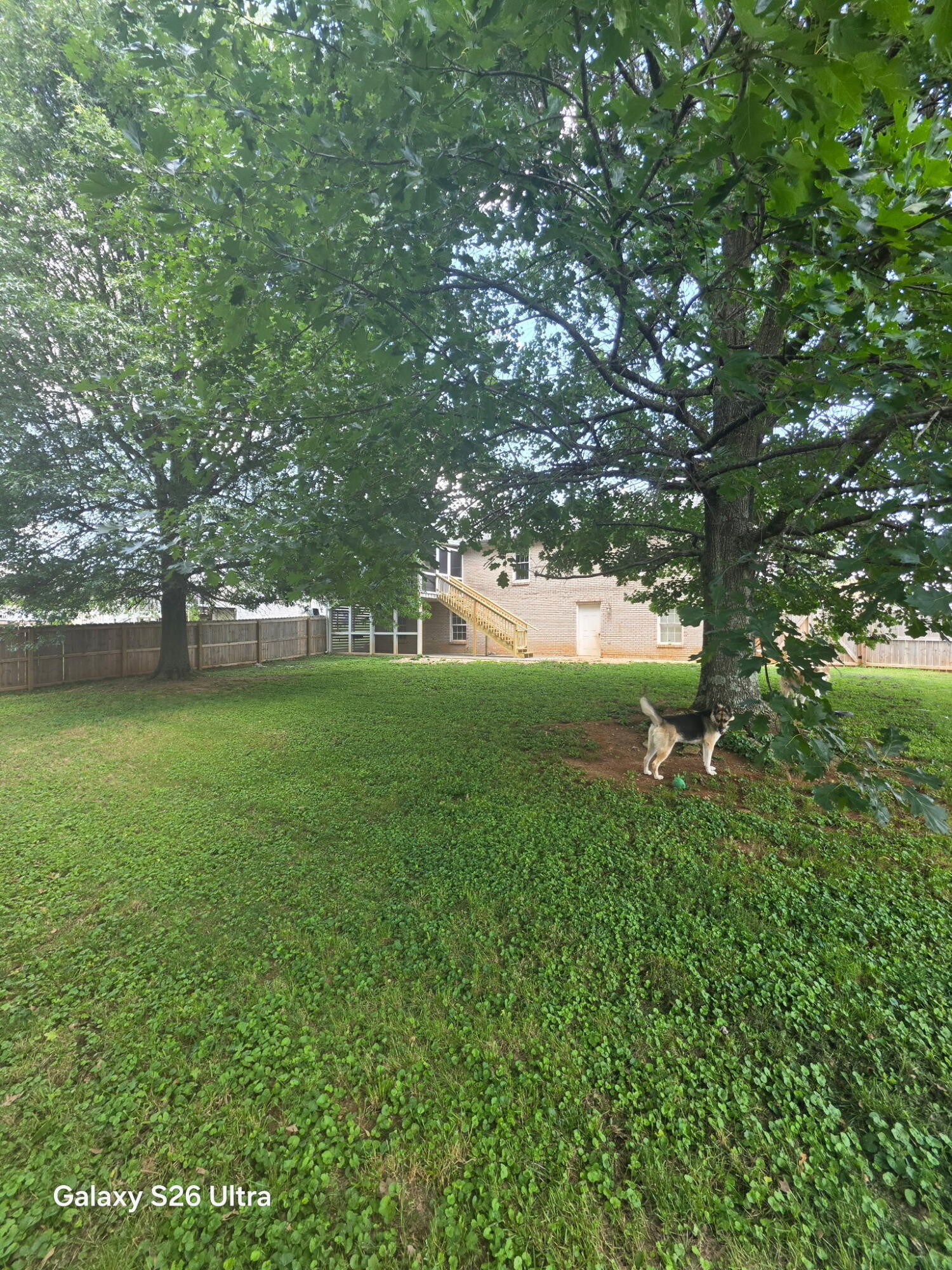 151 Meadowcrest Drive Property Photo 38