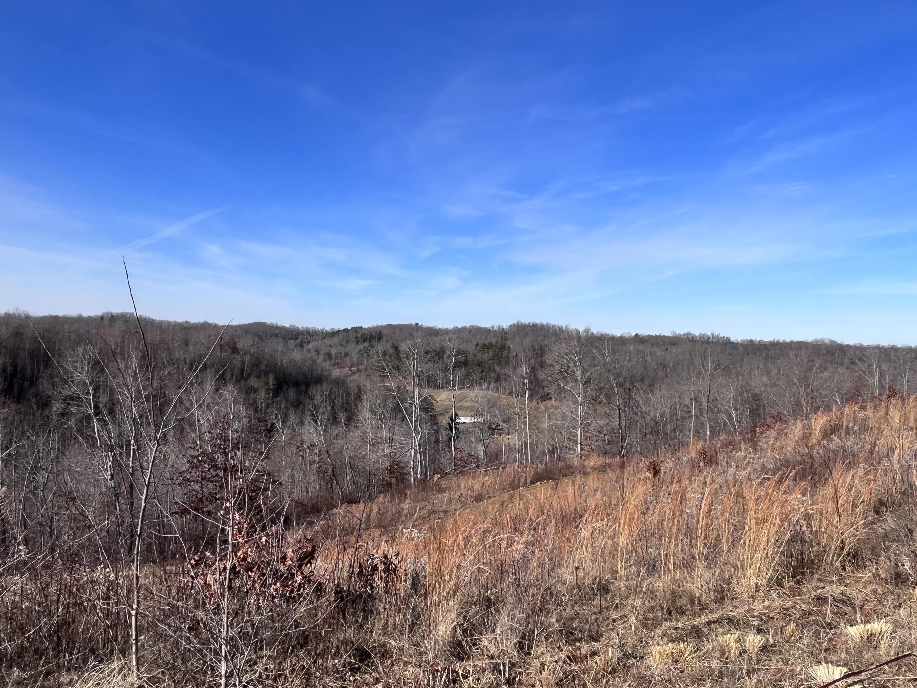 2555 Kentucky 1071 Property Photo 4