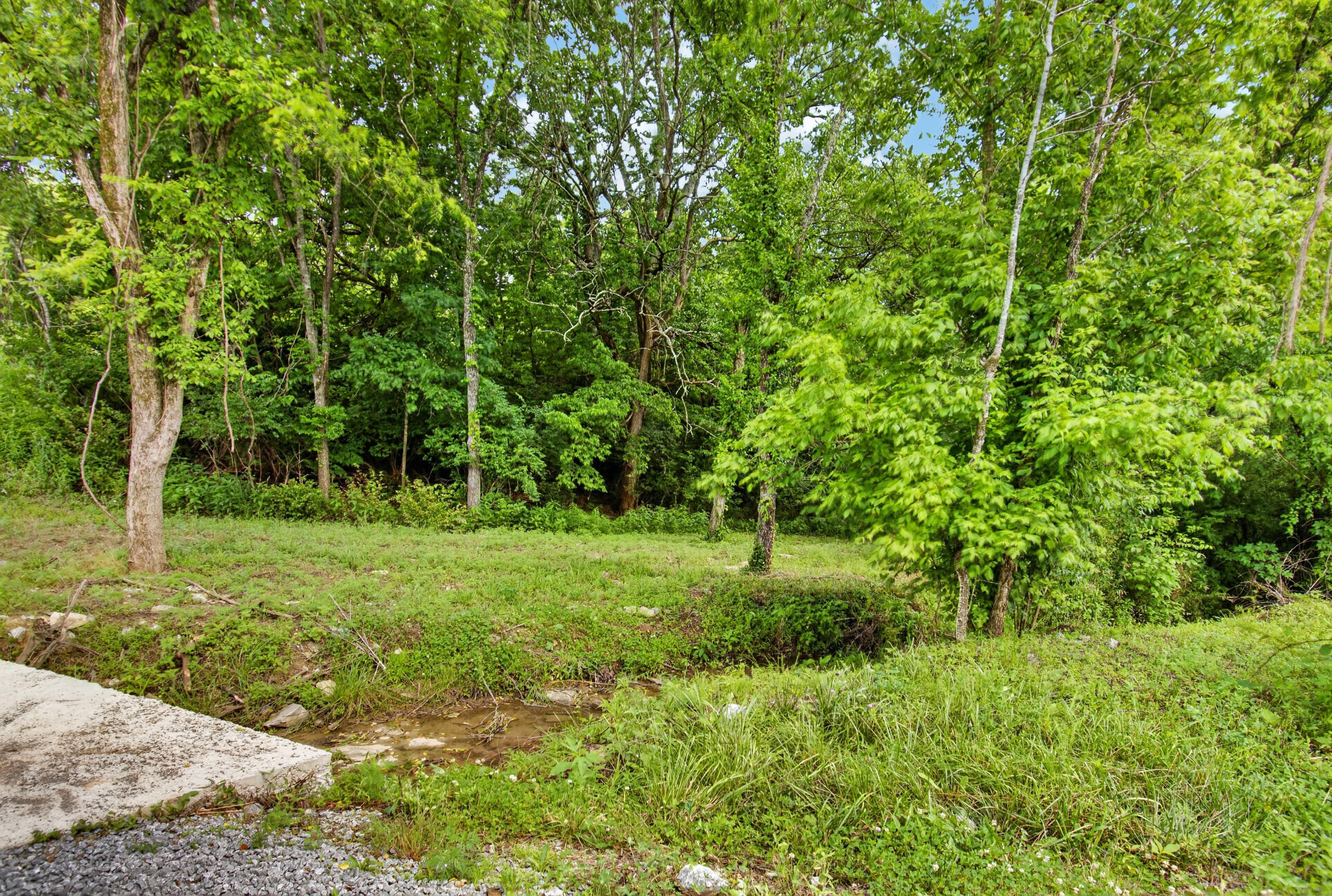 75 Deer Chase Road Property Photo 88