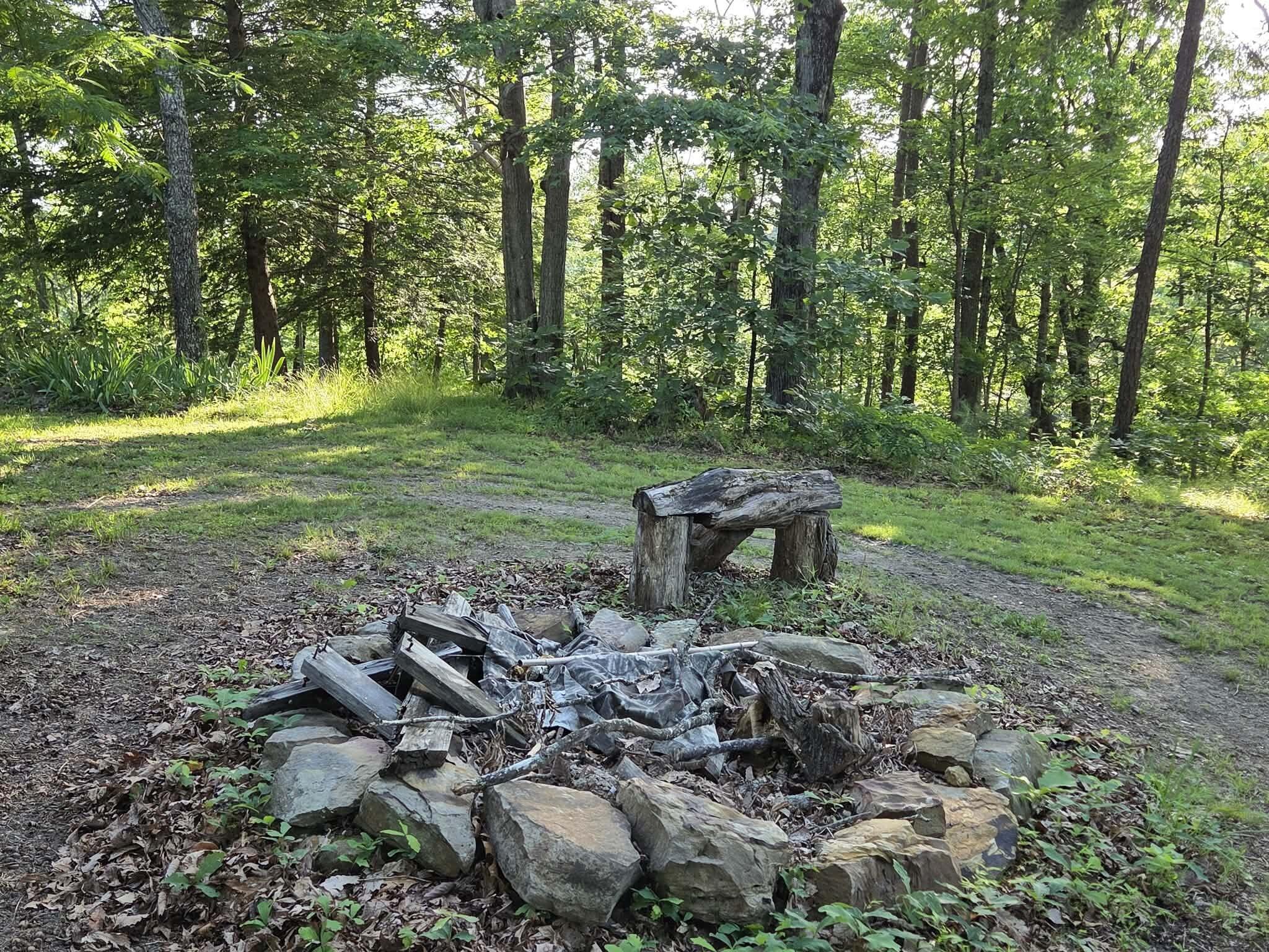 110 Cox Road Property Photo 5