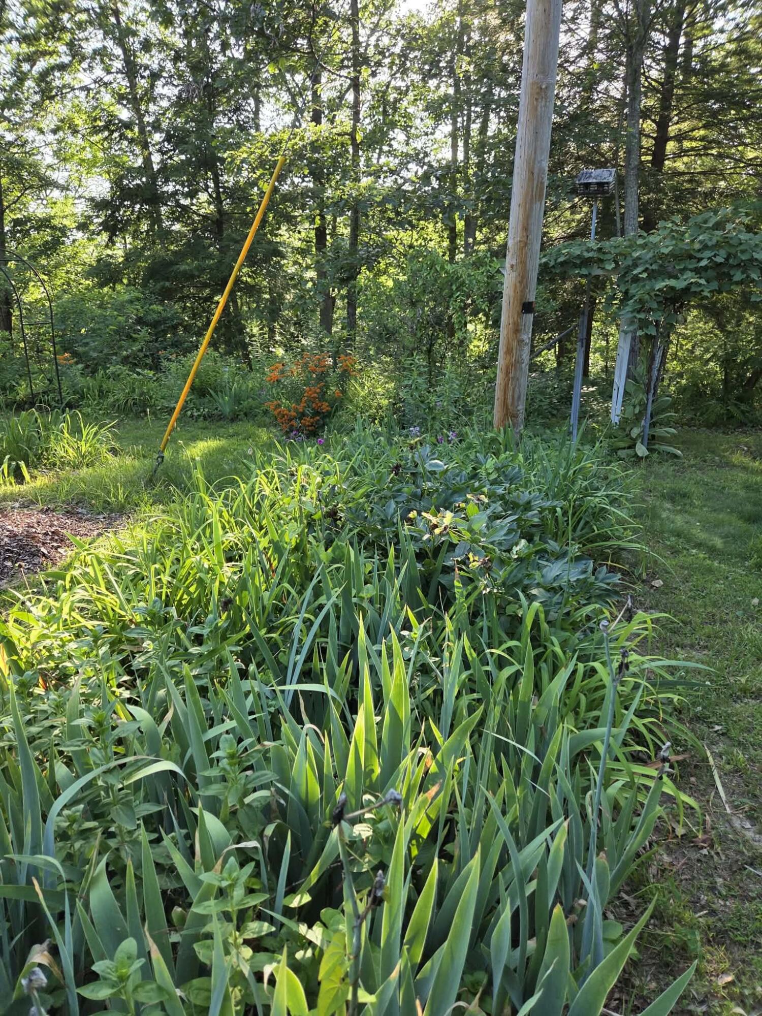 110 Cox Road Property Photo 7