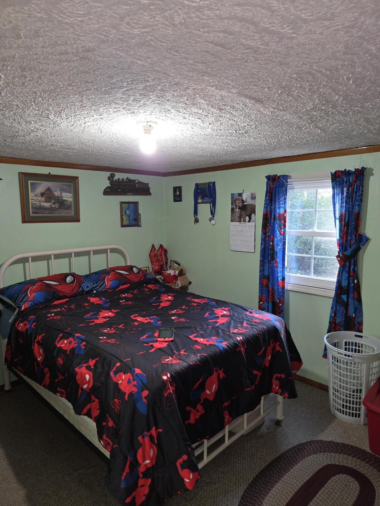 110 Cox Road Property Photo 25