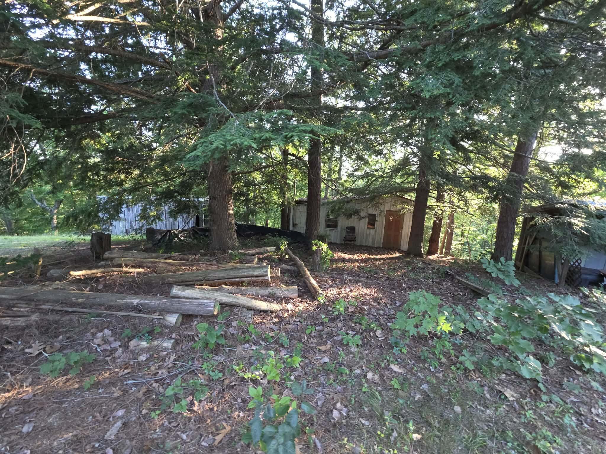 110 Cox Road Property Photo 32